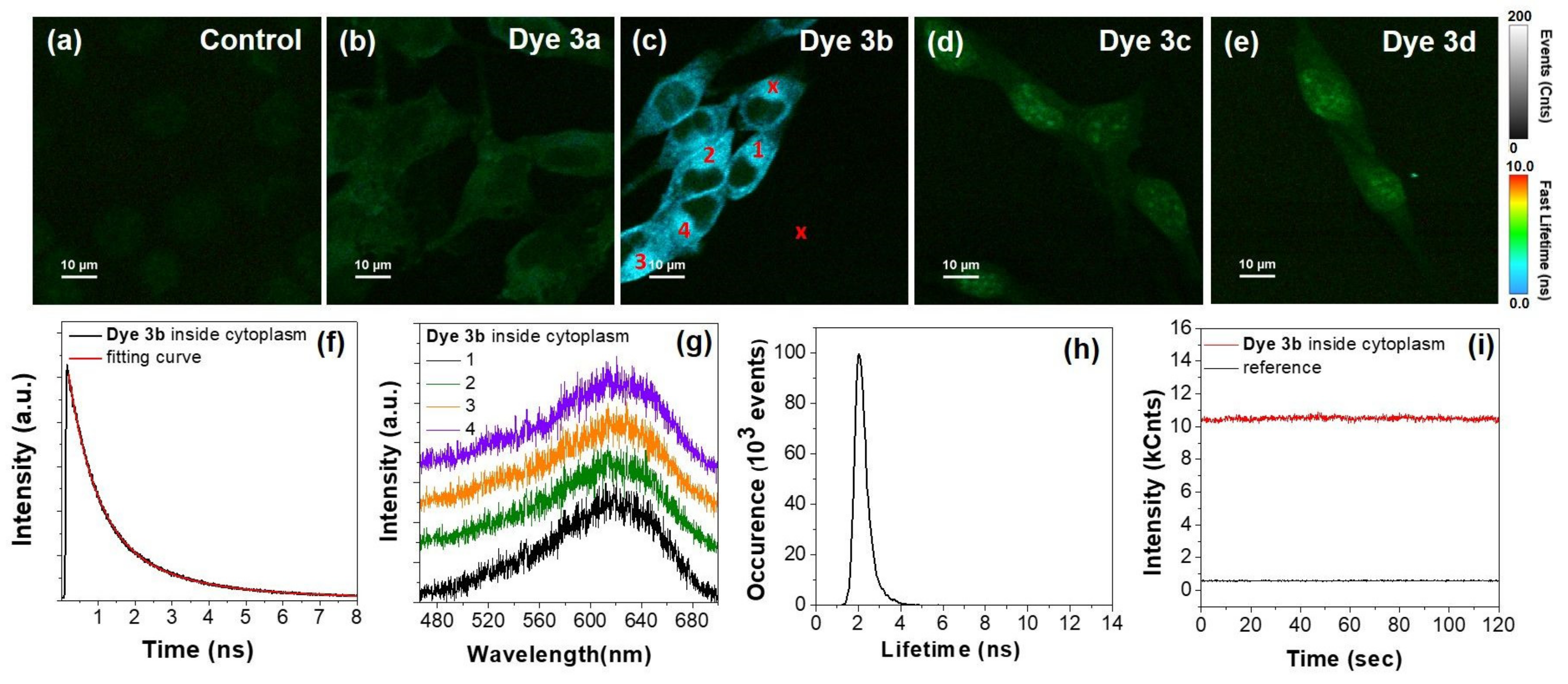 Ijms 22 02985 g010 Ijms 22 02985 g010