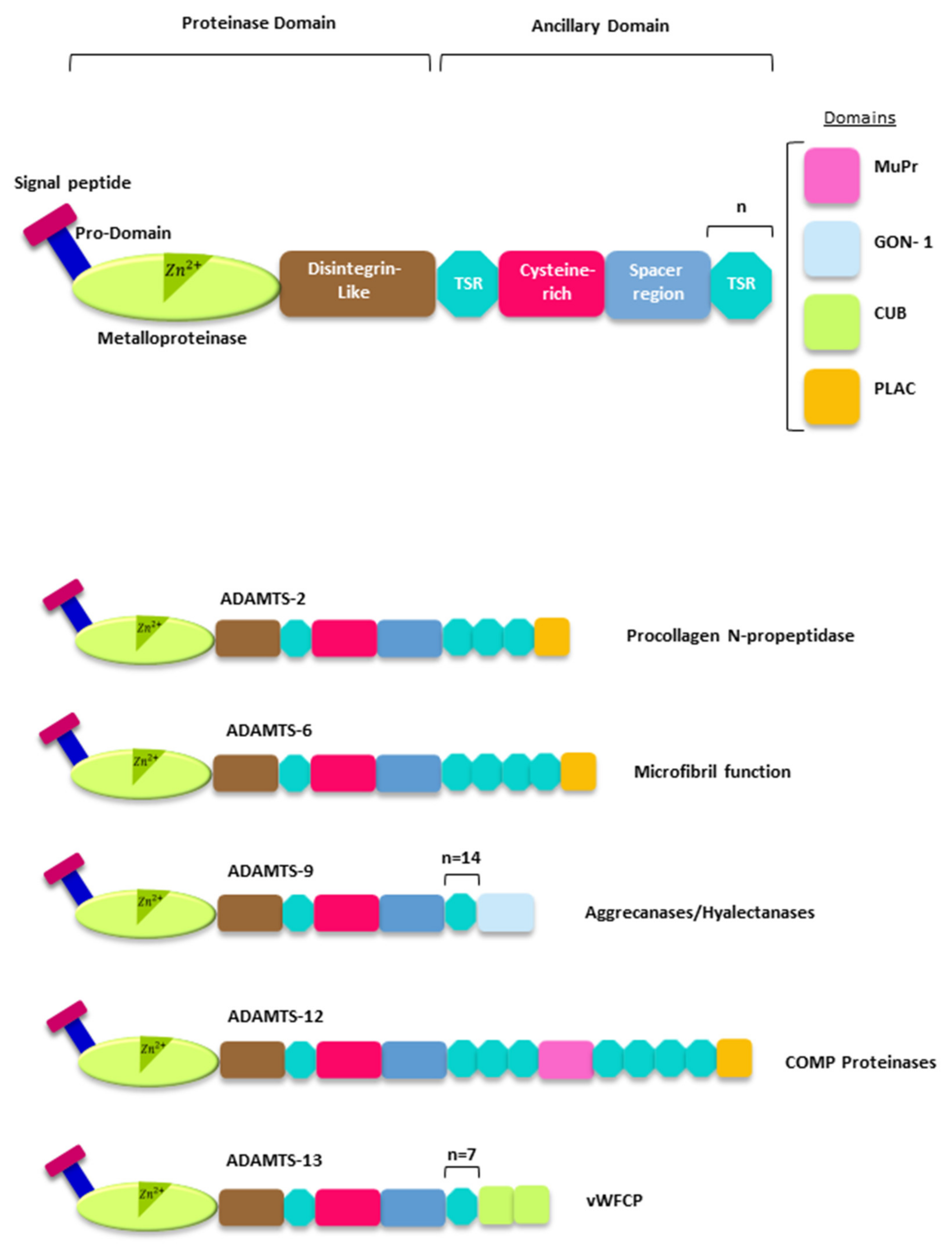 Ijms 22 02988 g002