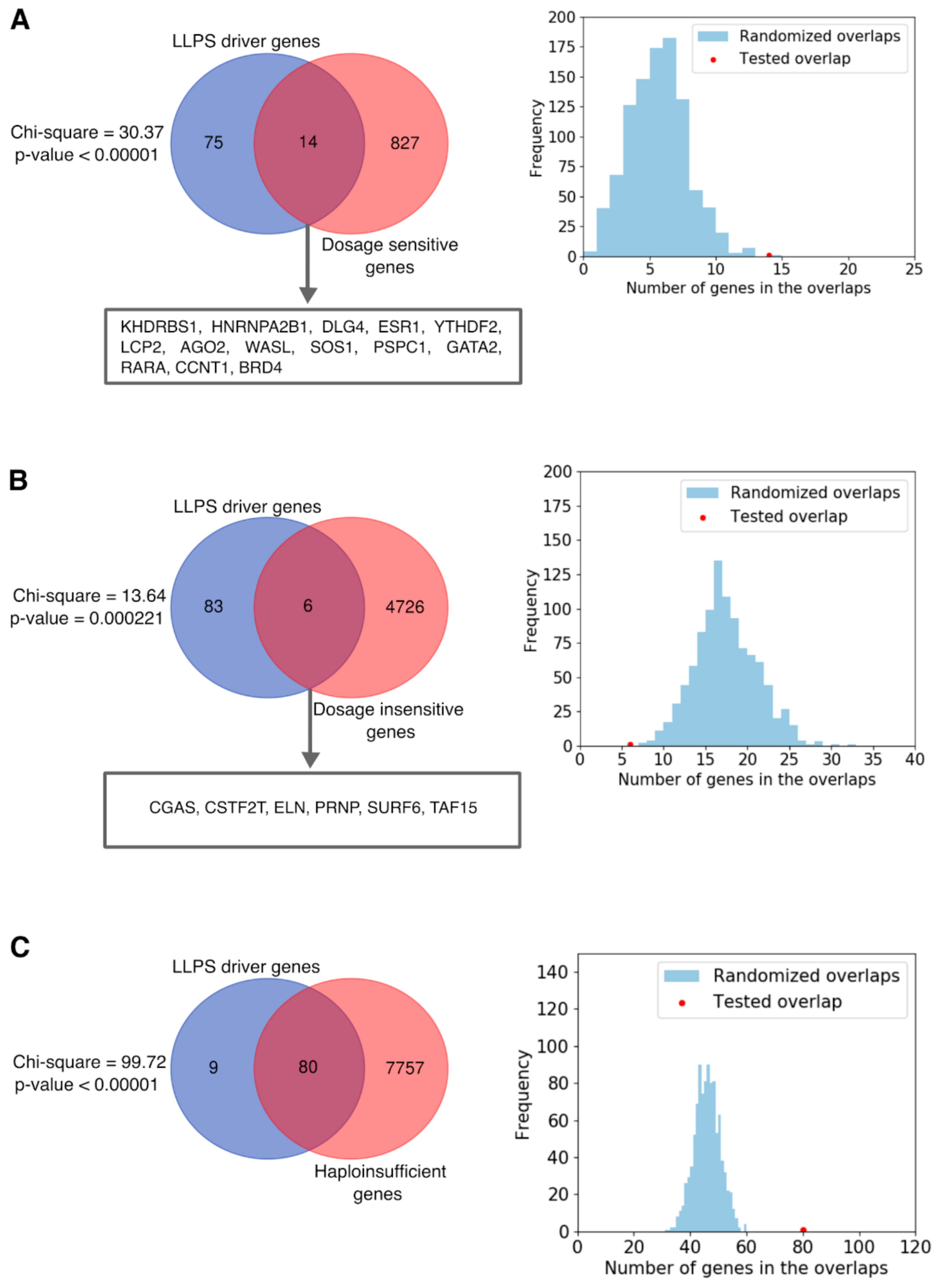 Ijms 22 03017 g005 Ijms 22 03017 g005