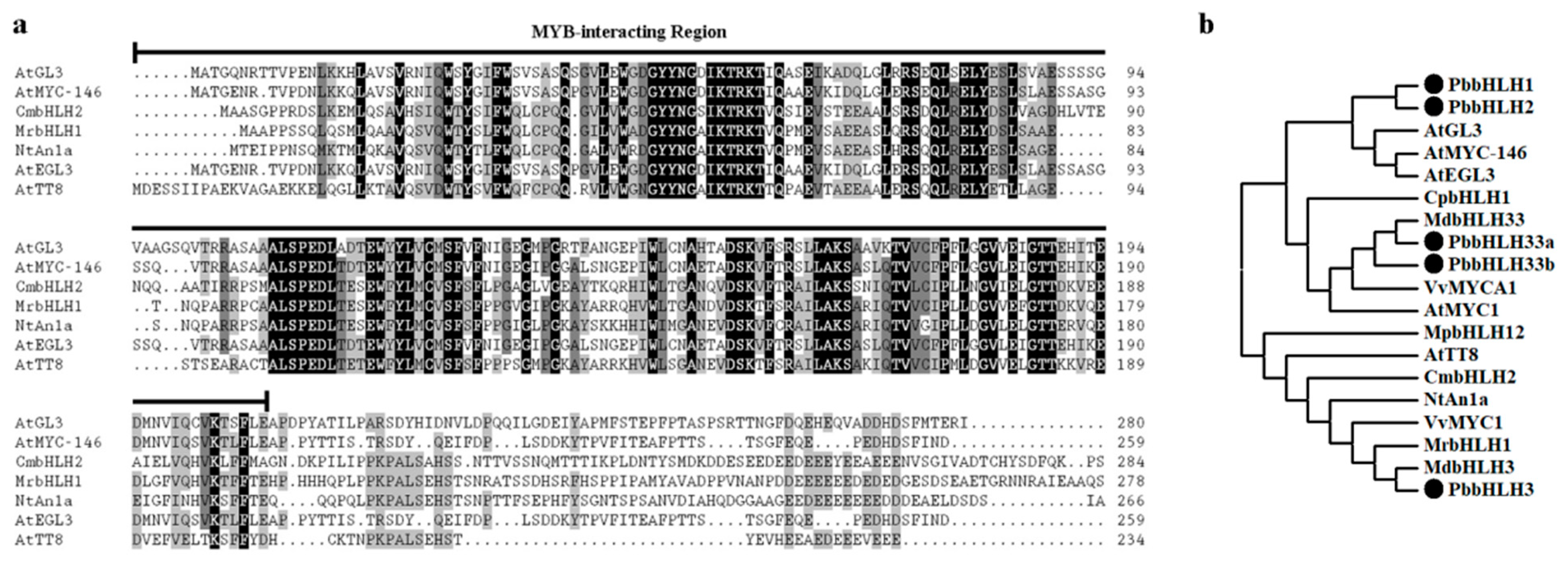 Ijms 22 03026 g001 Ijms 22 03026 g001
