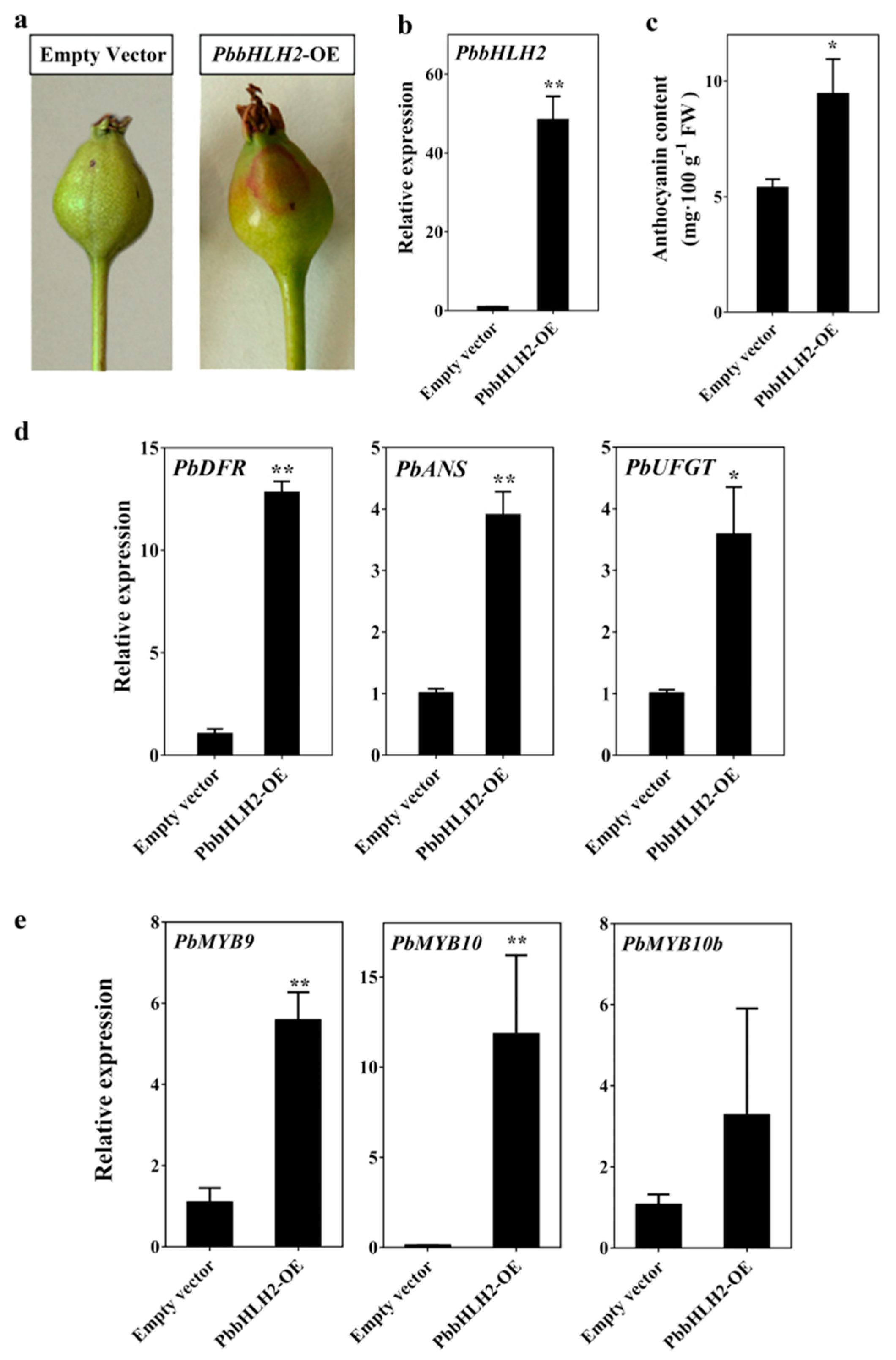 Ijms 22 03026 g003 Ijms 22 03026 g003