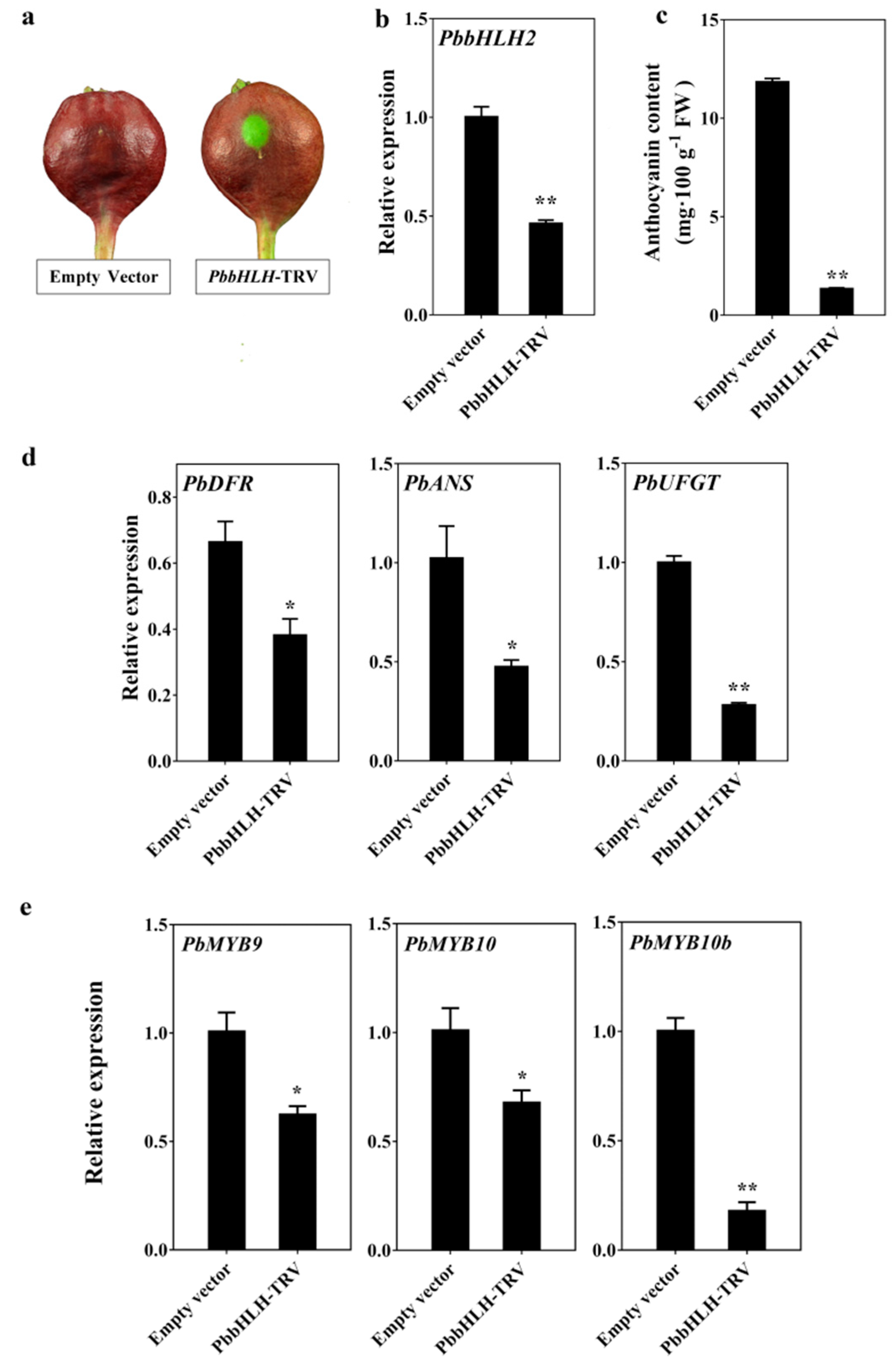 Ijms 22 03026 g004 Ijms 22 03026 g004