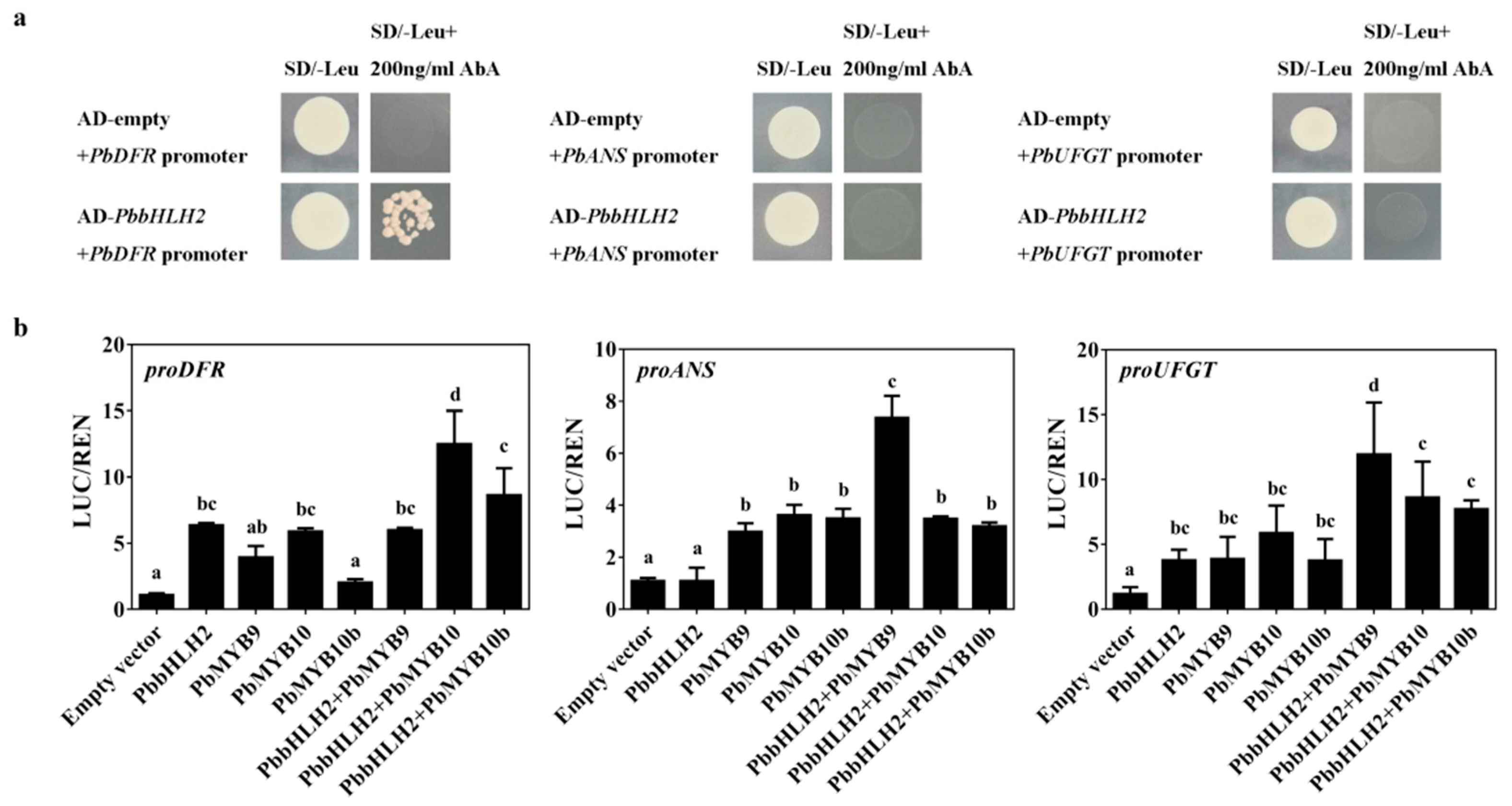 Ijms 22 03026 g006 Ijms 22 03026 g006