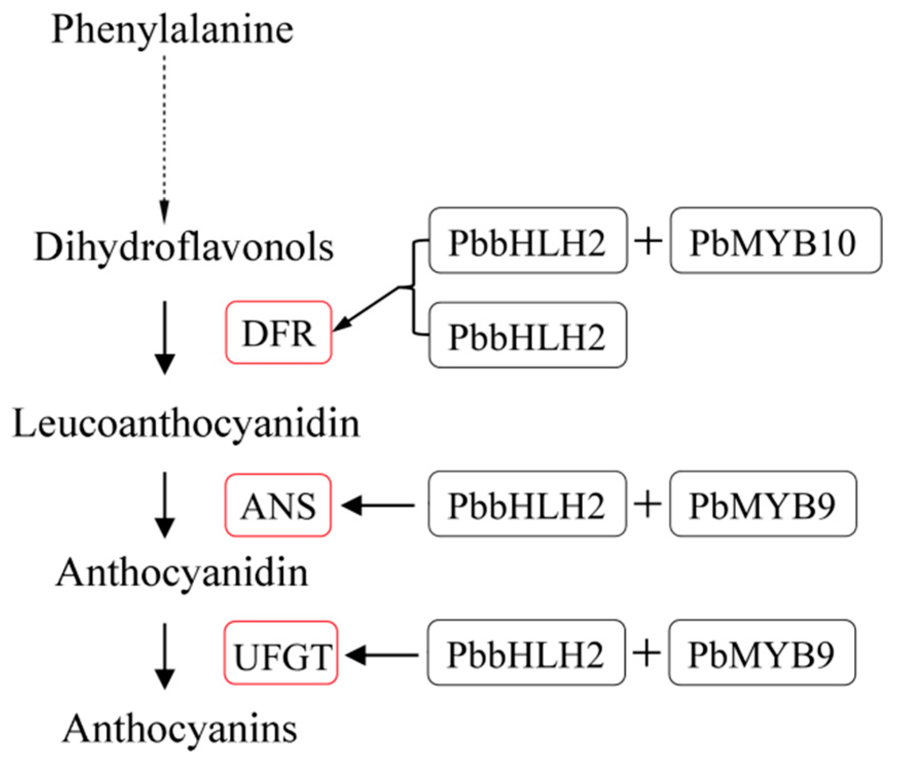 Ijms 22 03026 g007 Ijms 22 03026 g007