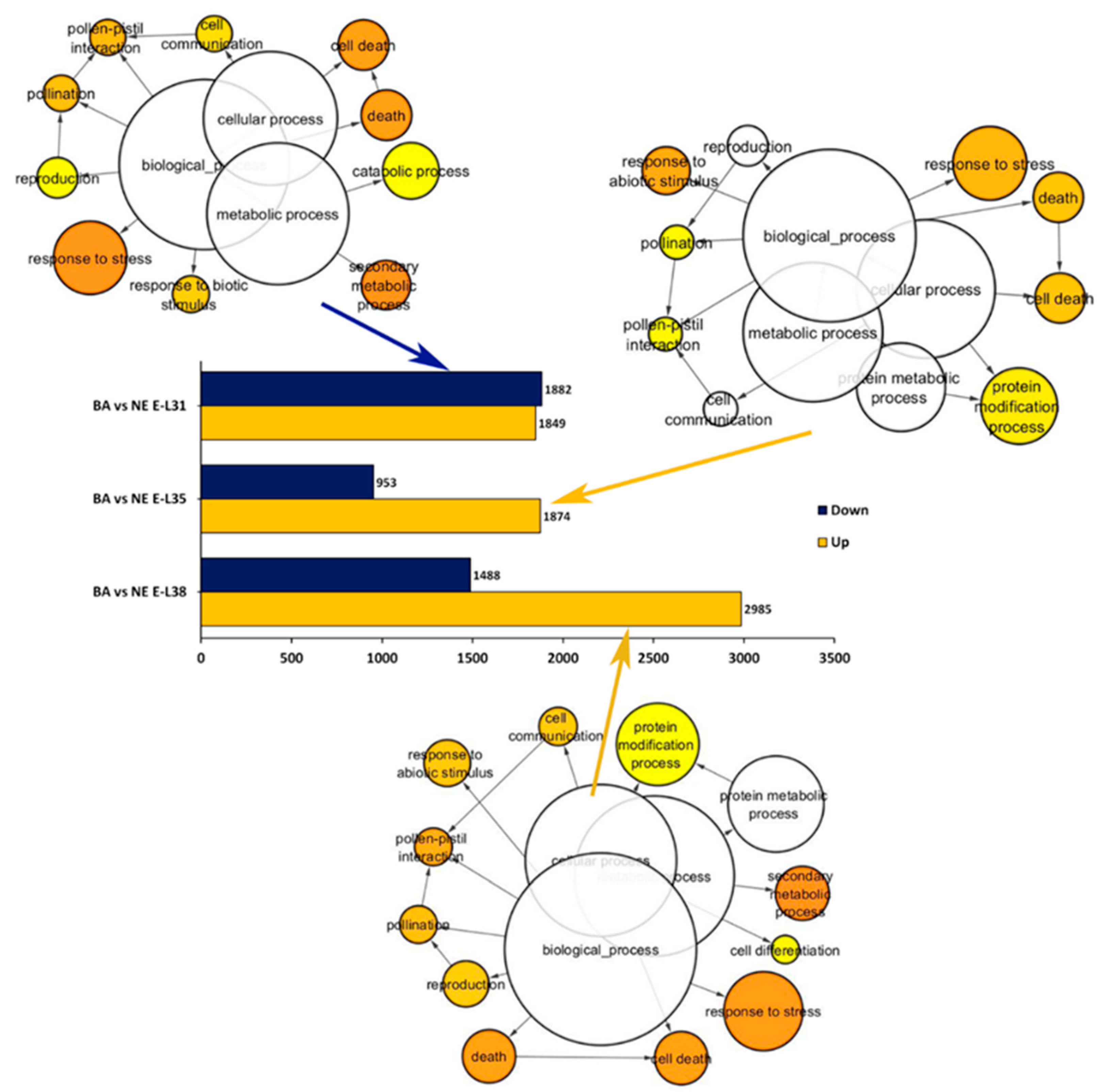 Ijms 22 03045 g001 Ijms 22 03045 g001