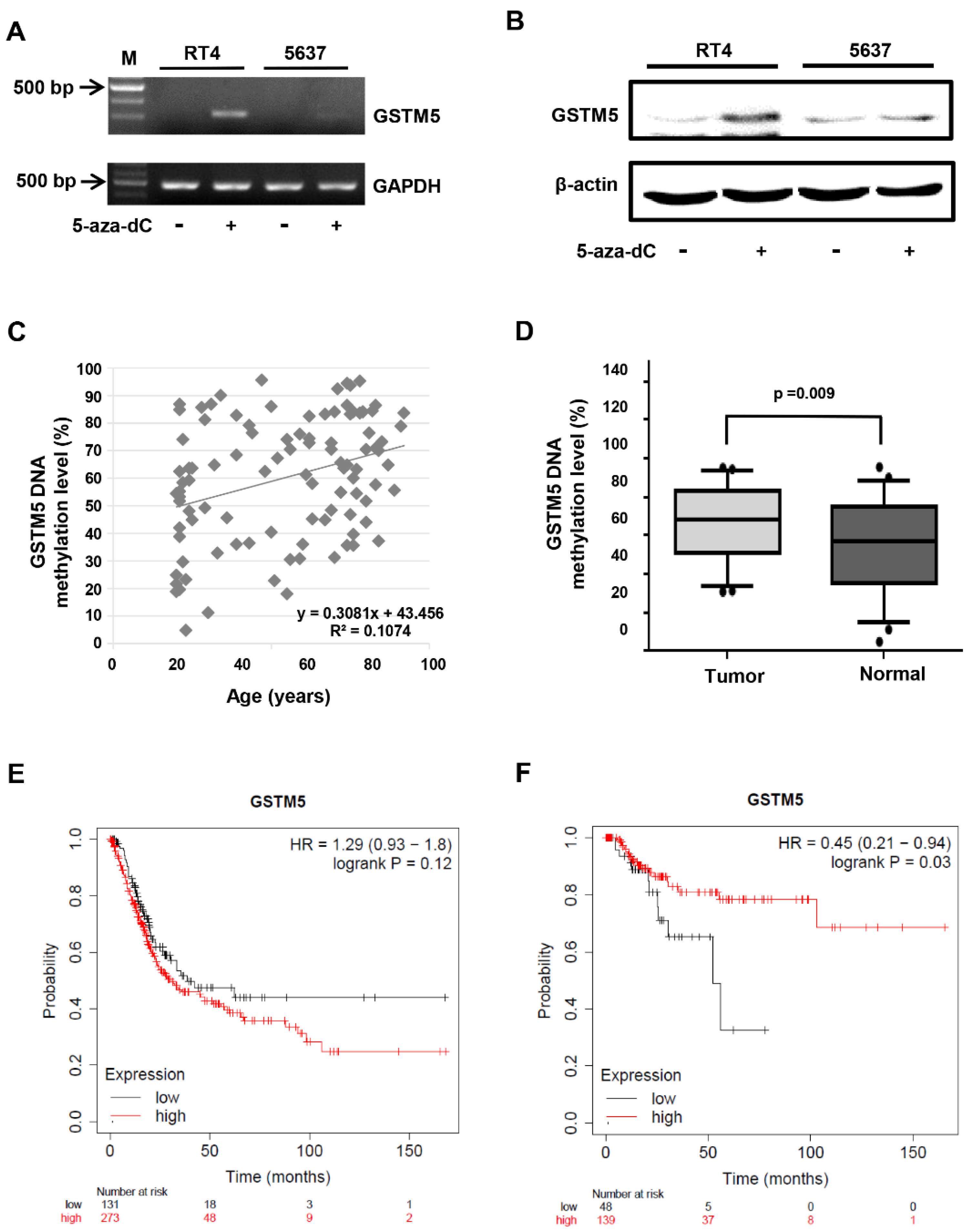 Ijms 22 03056 g002 Ijms 22 03056 g002