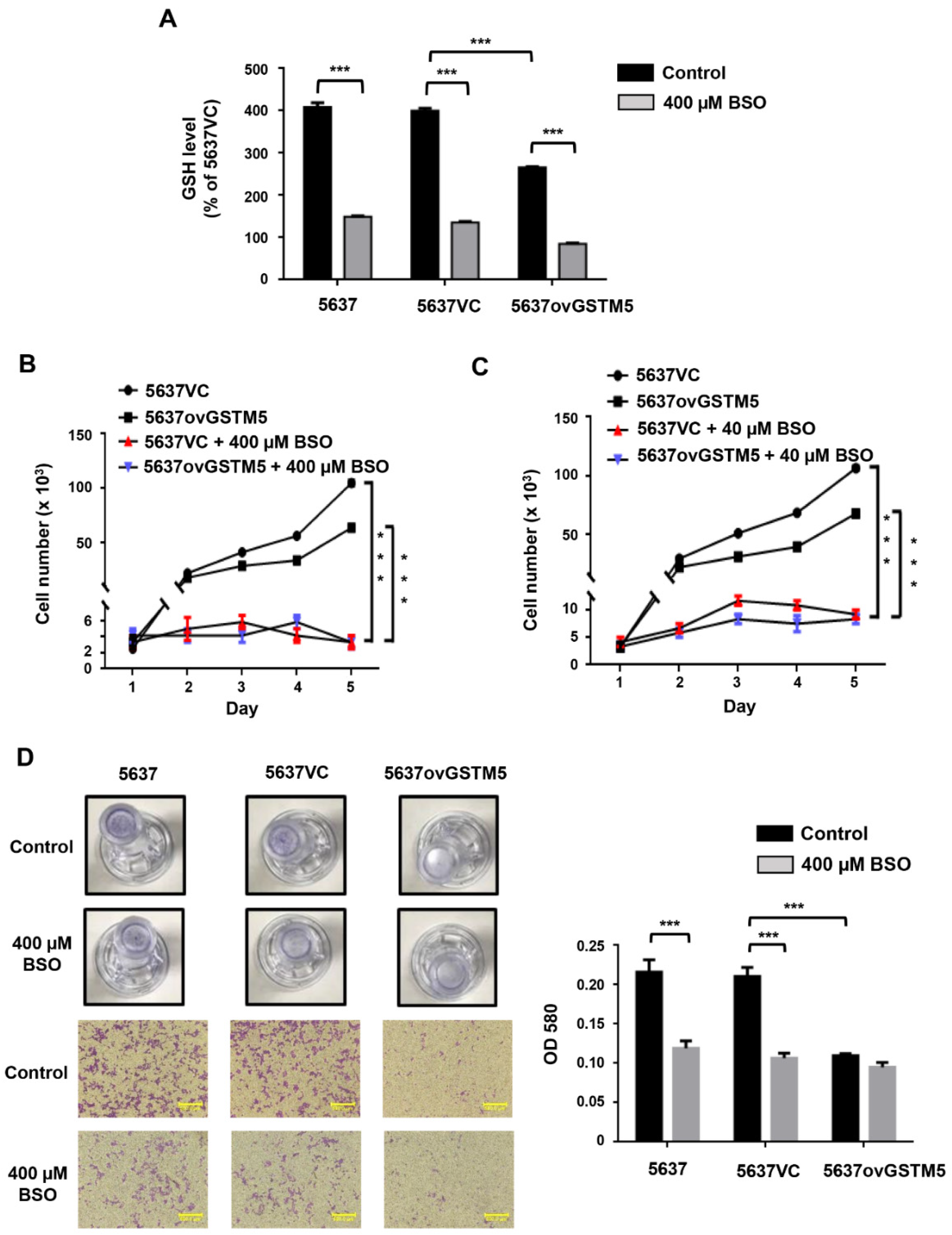 Ijms 22 03056 g006 Ijms 22 03056 g006