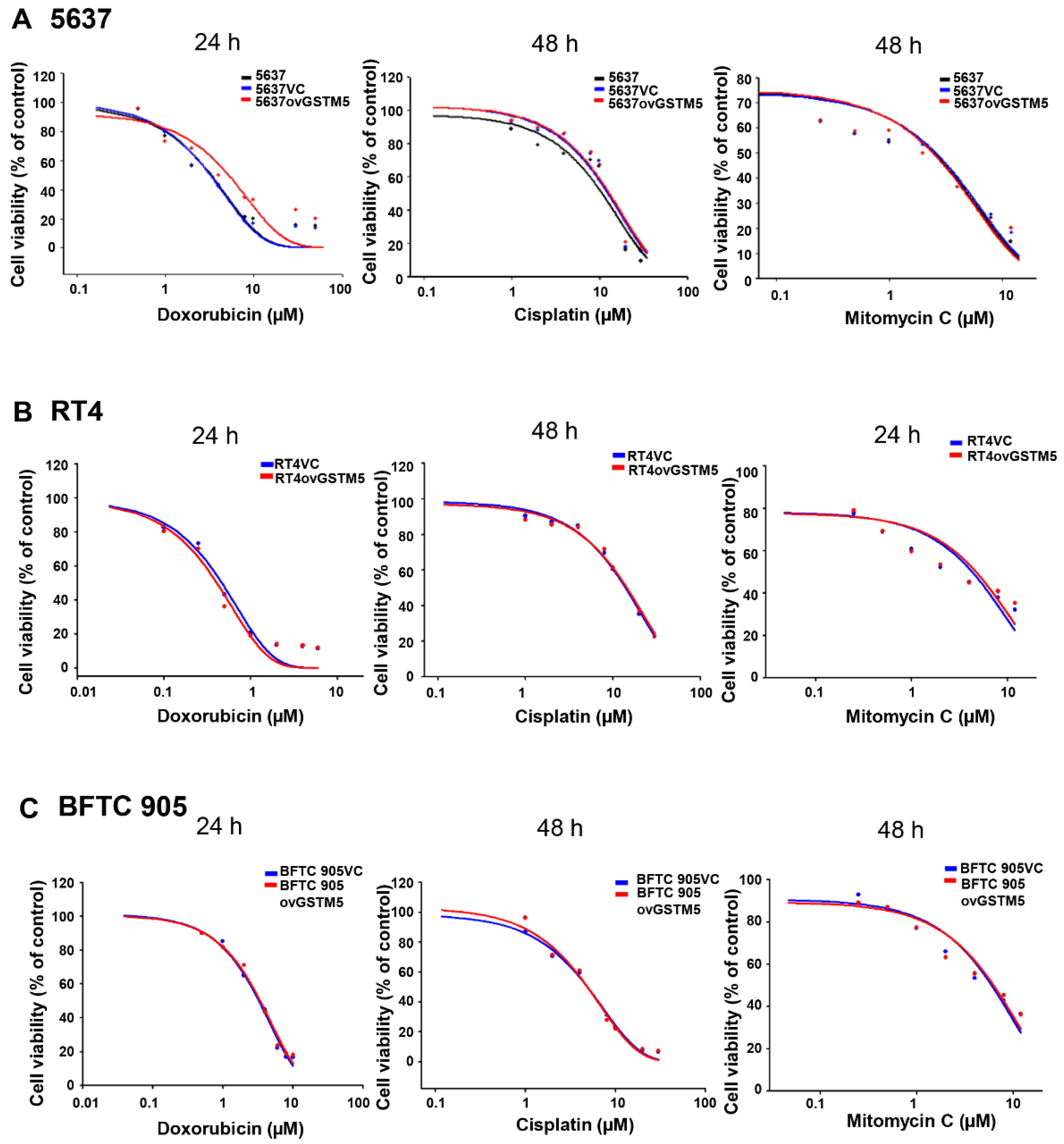 Ijms 22 03056 g008 Ijms 22 03056 g008