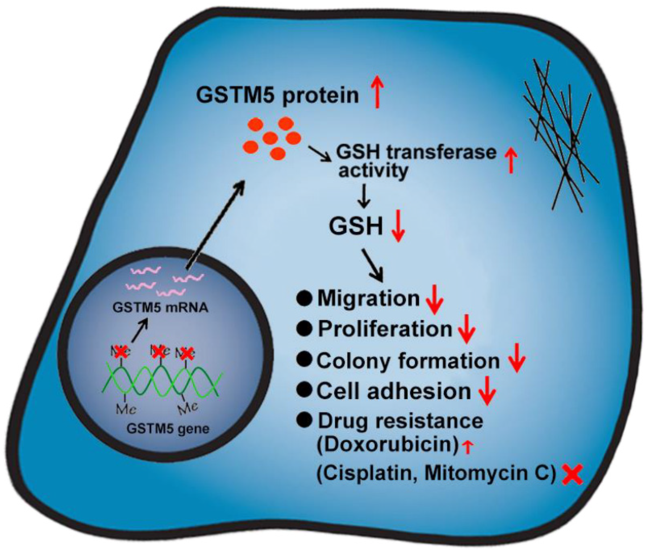 Ijms 22 03056 g009 Ijms 22 03056 g009