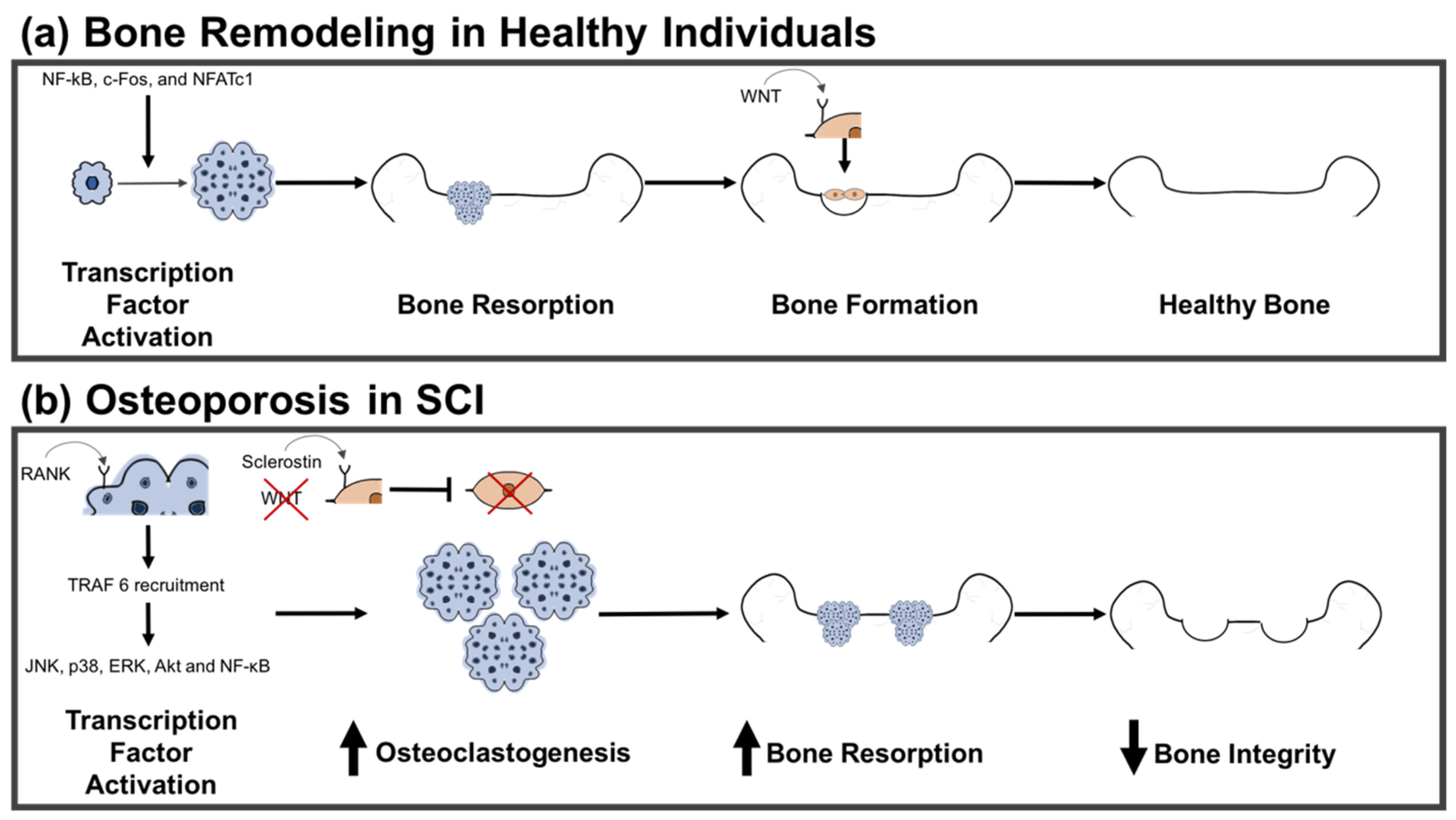 Ijms 22 03057 g001 Ijms 22 03057 g001