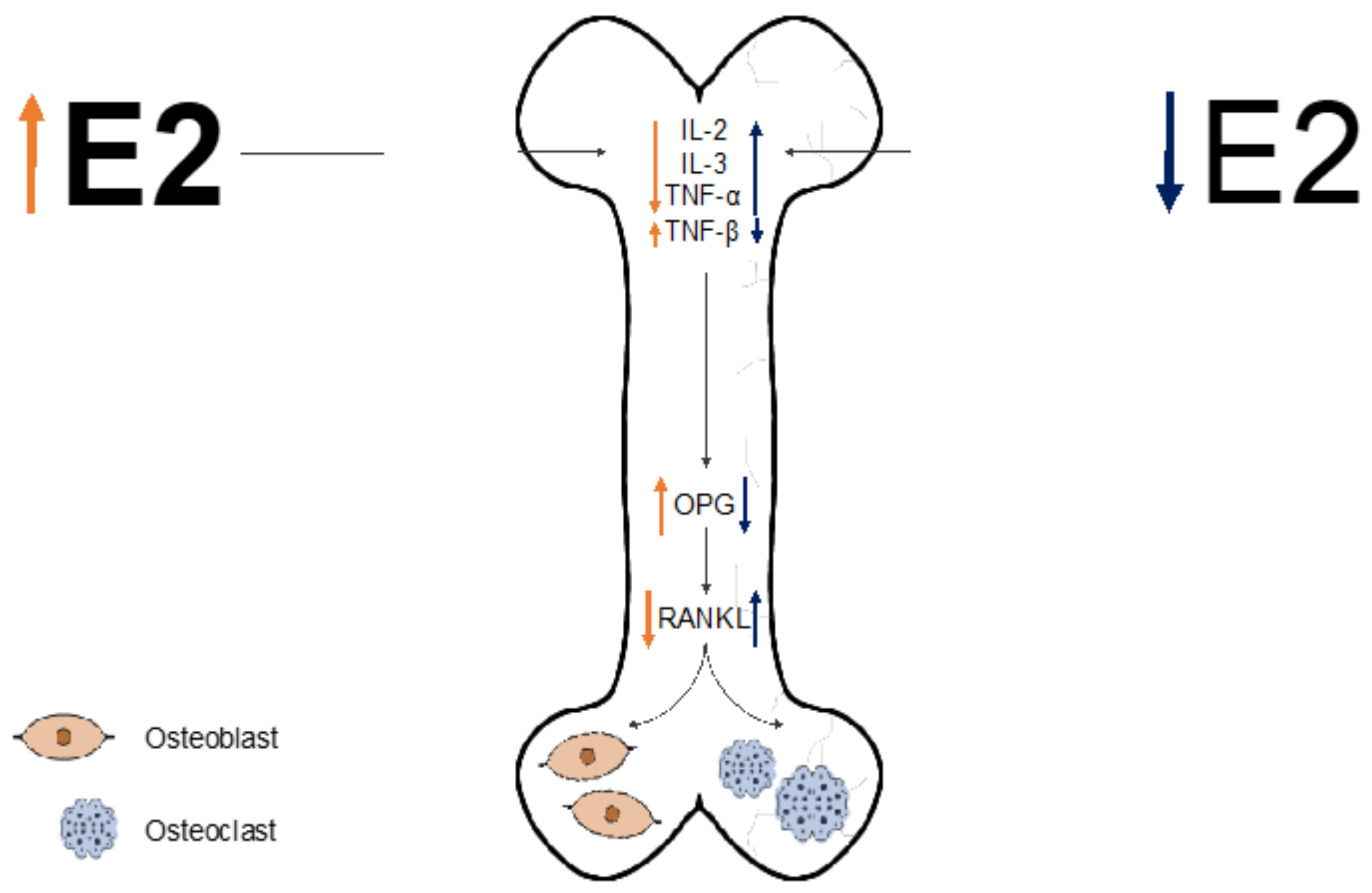 Ijms 22 03057 g002 Ijms 22 03057 g002