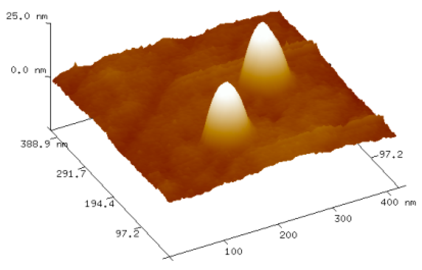 Ijms 22 03098 g006 Ijms 22 03098 g006