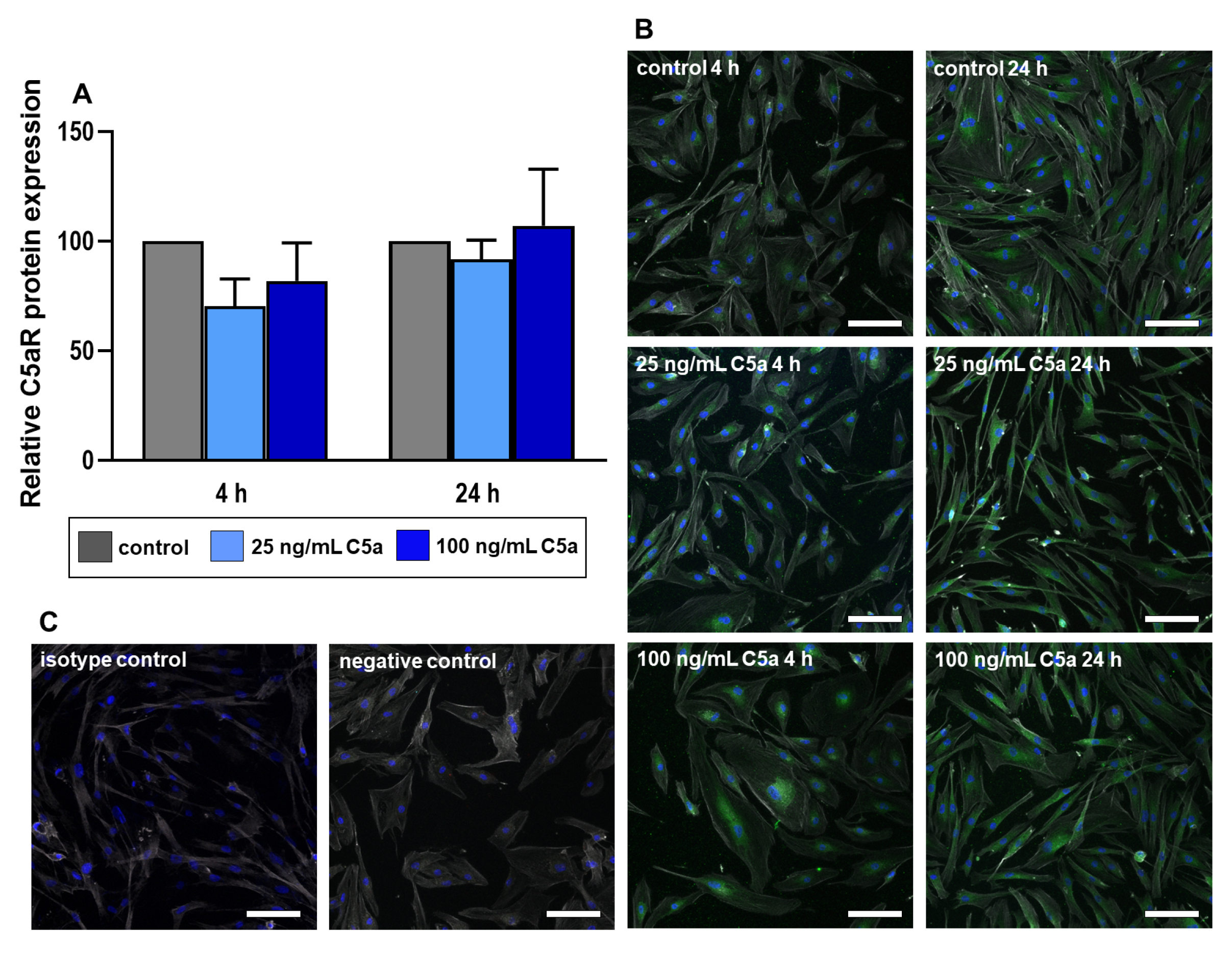 Ijms 22 03105 g006 Ijms 22 03105 g006