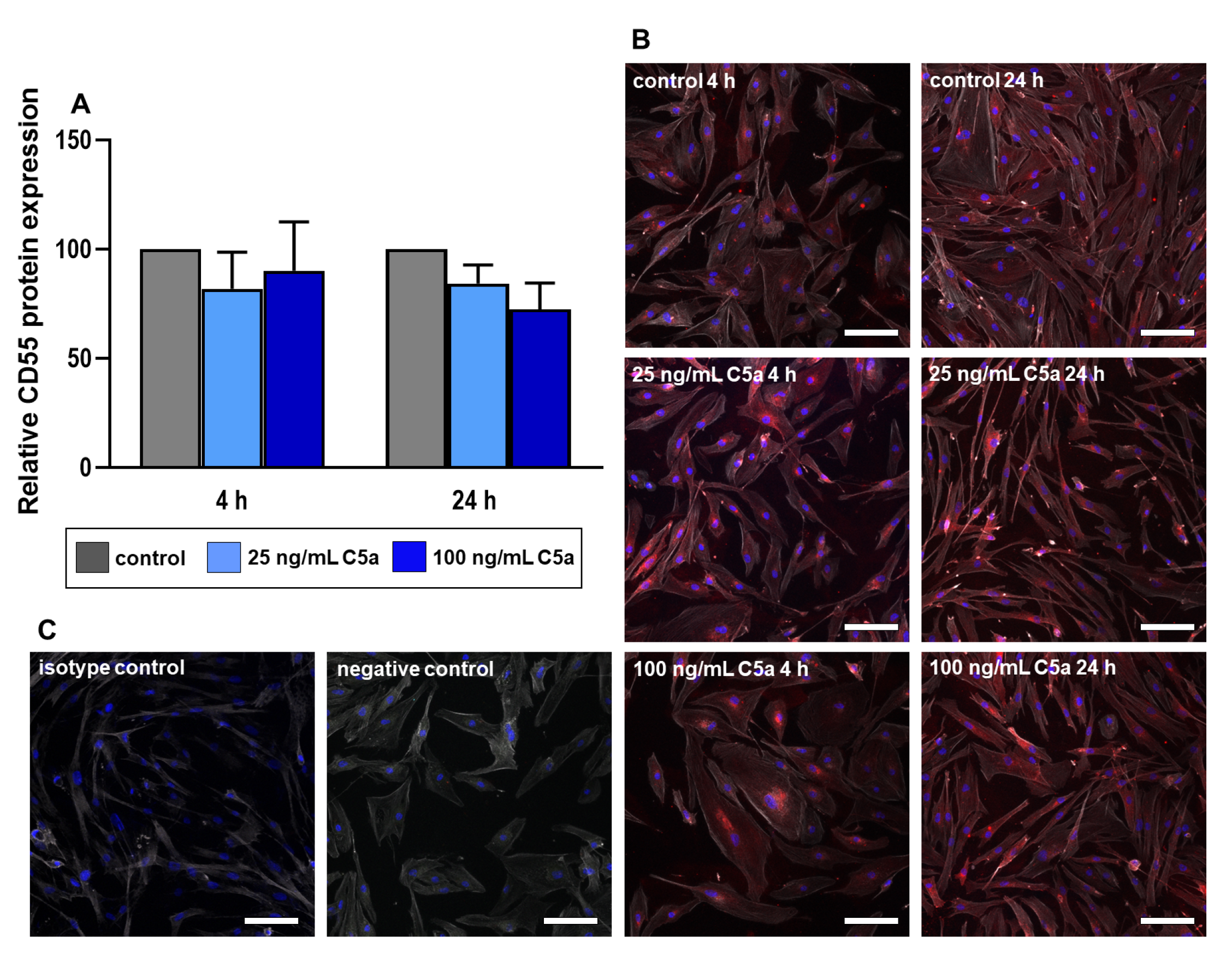 Ijms 22 03105 g007 Ijms 22 03105 g007