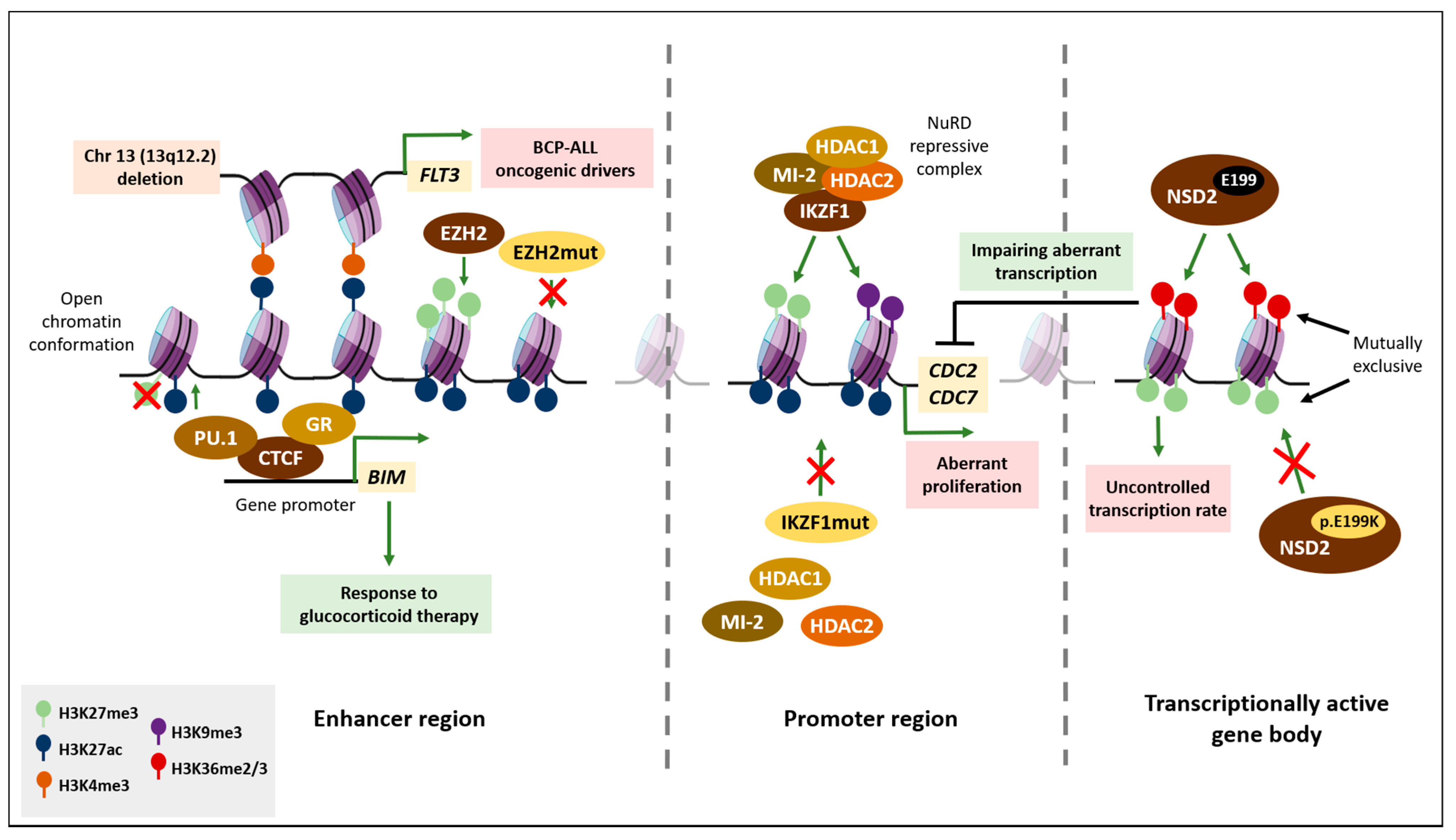Ijms 22 03127 g001 Ijms 22 03127 g001