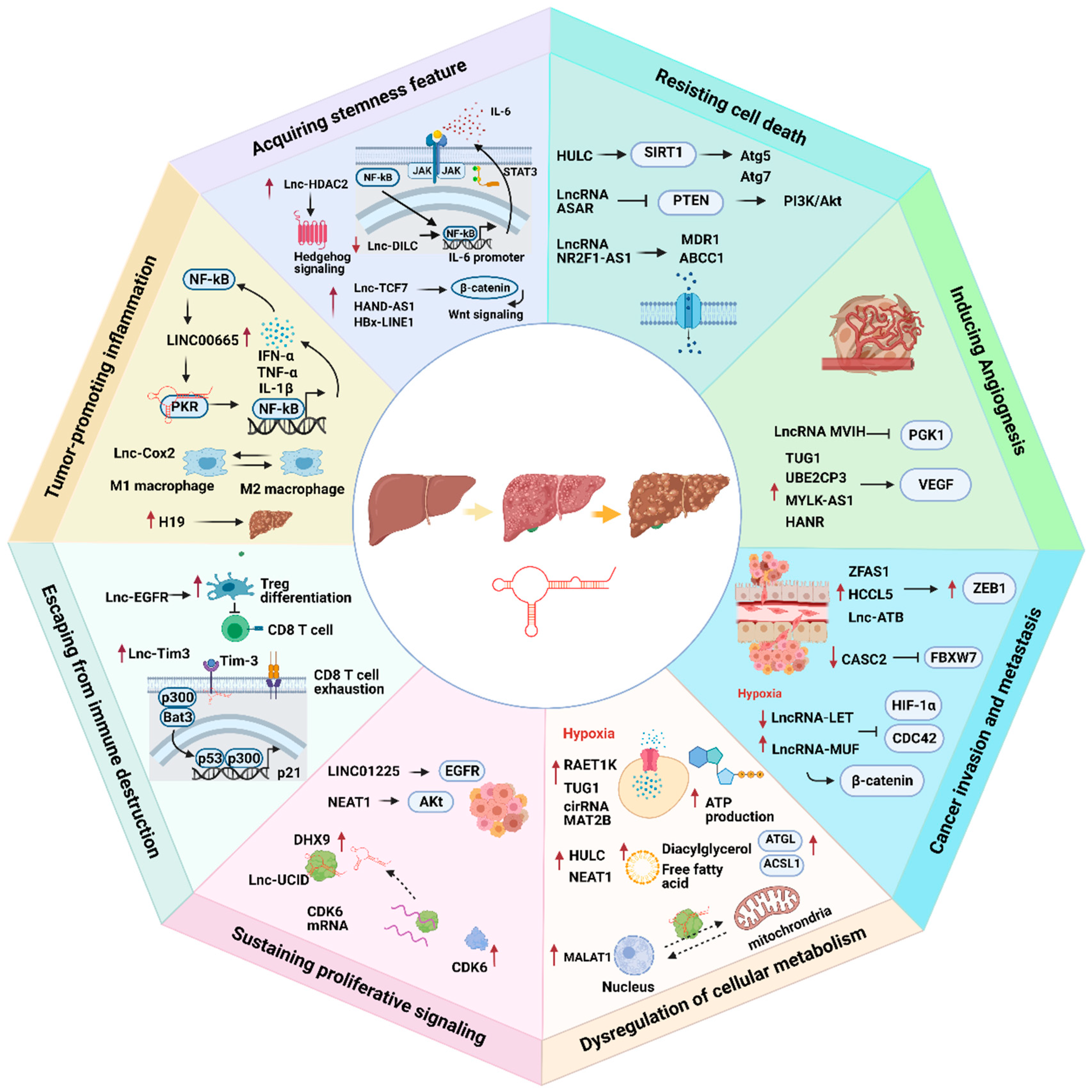 Ijms 22 03137 g001 Ijms 22 03137 g001