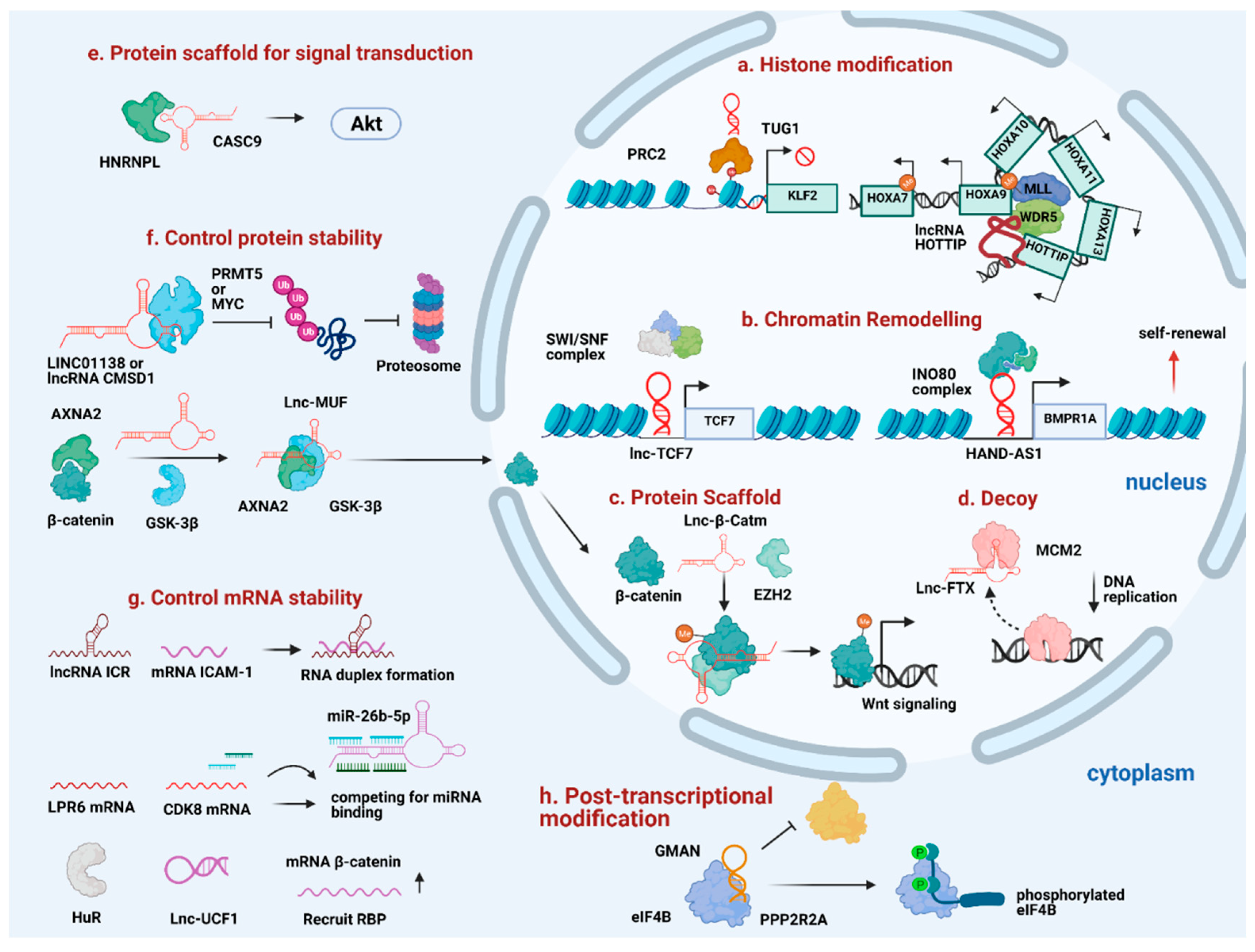 Ijms 22 03137 g002 Ijms 22 03137 g002