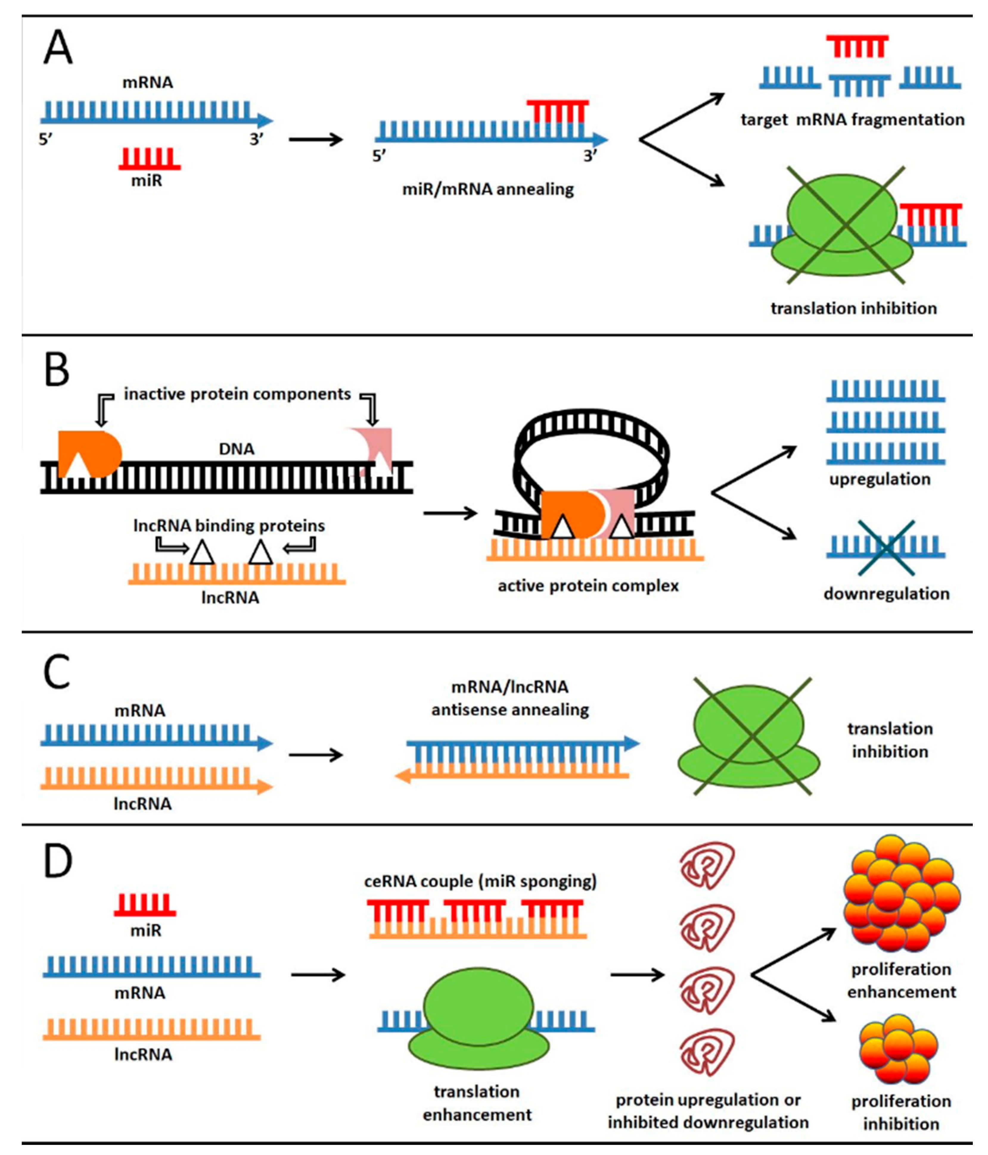 Ijms 22 03151 g001 Ijms 22 03151 g001
