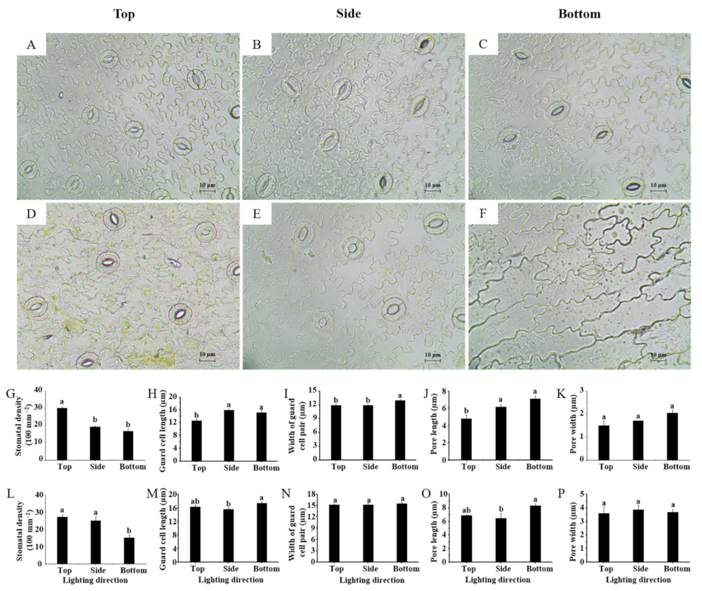 Ijms 22 03157 g003