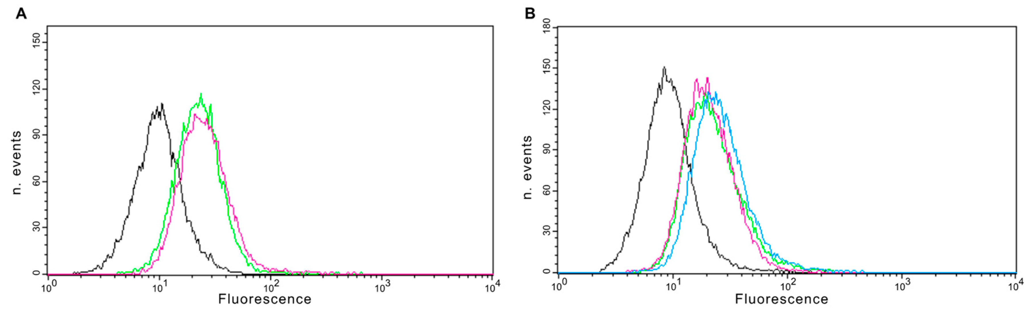 Ijms 22 03166 g004 Ijms 22 03166 g004