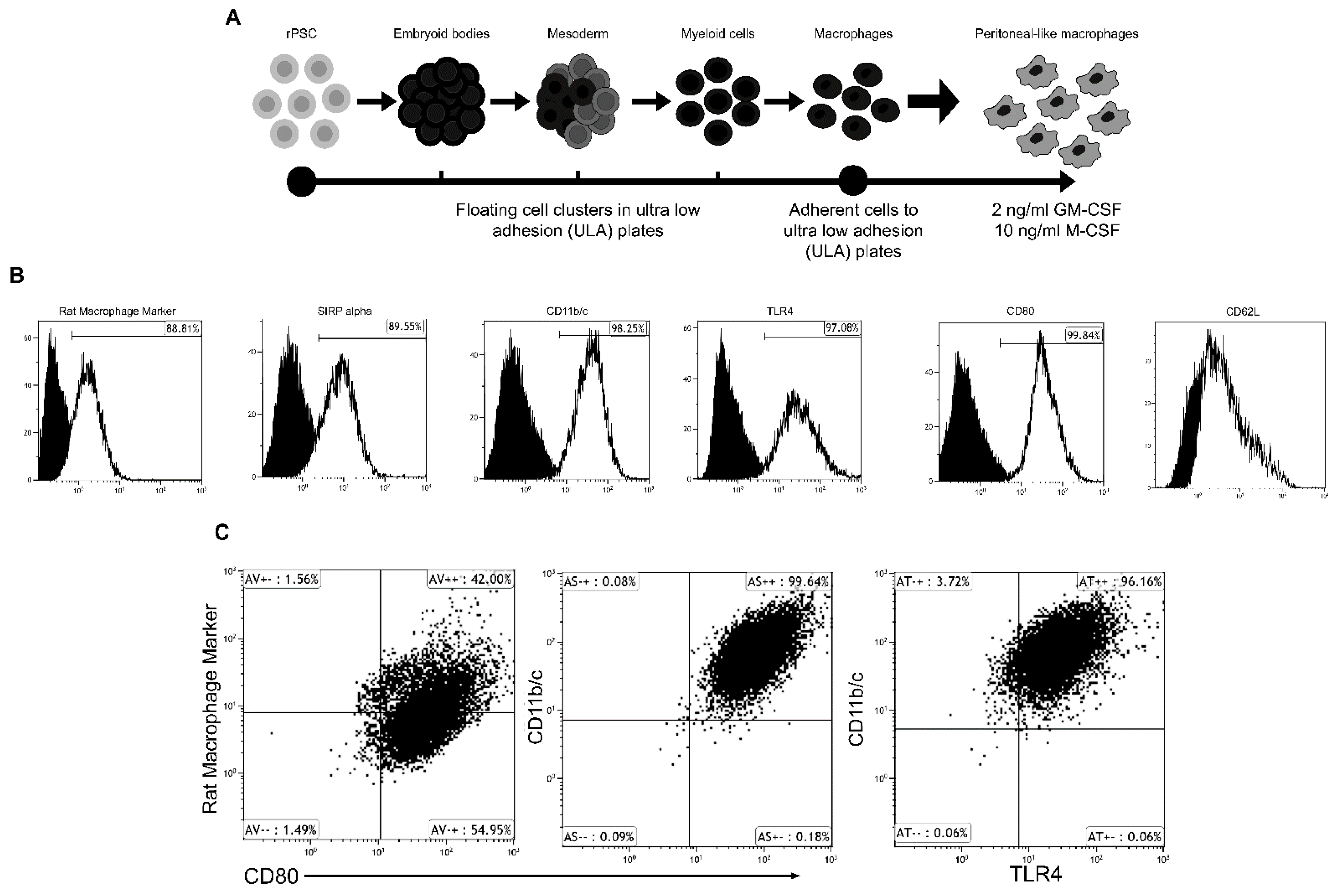 Ijms 22 03190 g001 Ijms 22 03190 g001