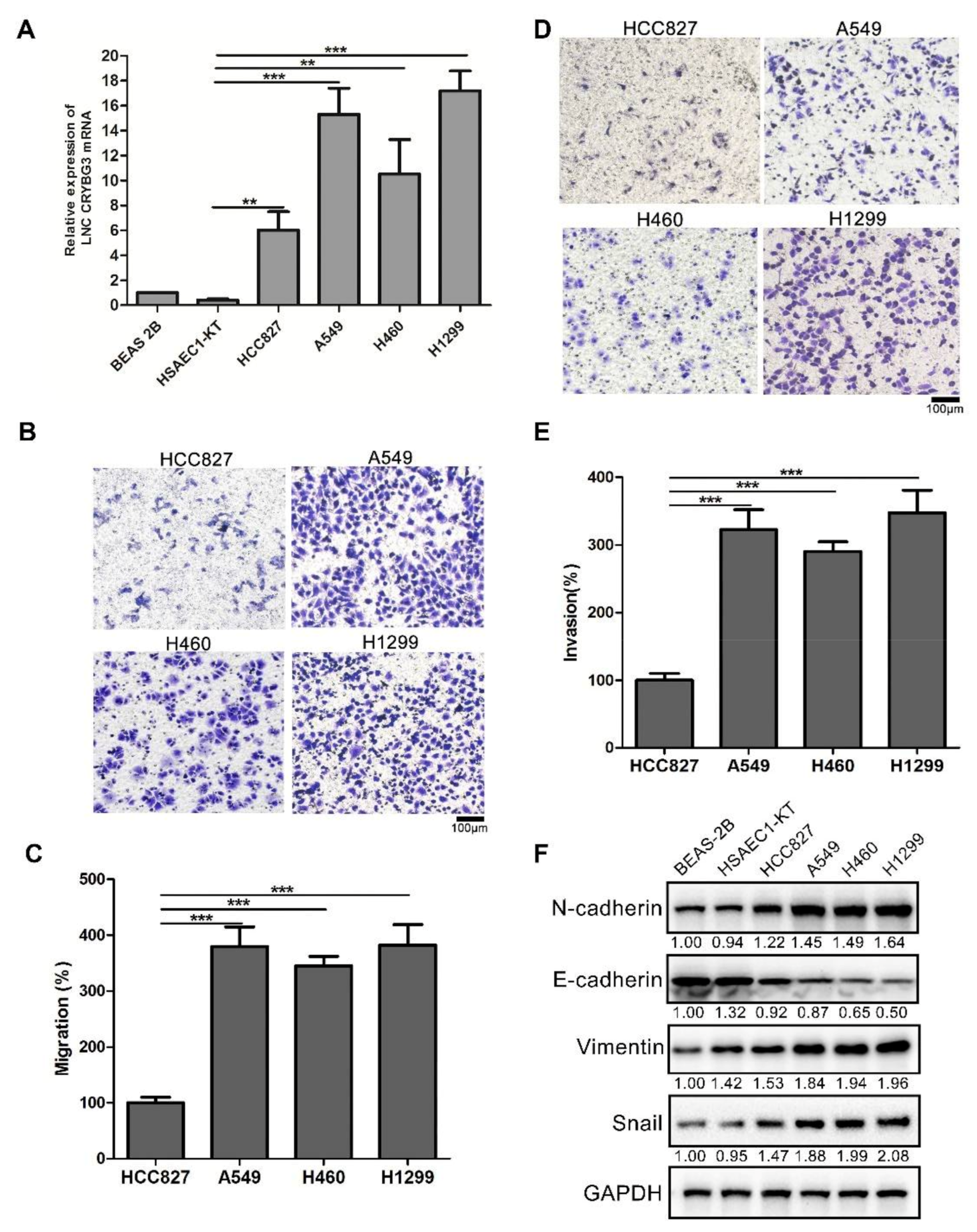 Ijms 22 03211 g001 Ijms 22 03211 g001