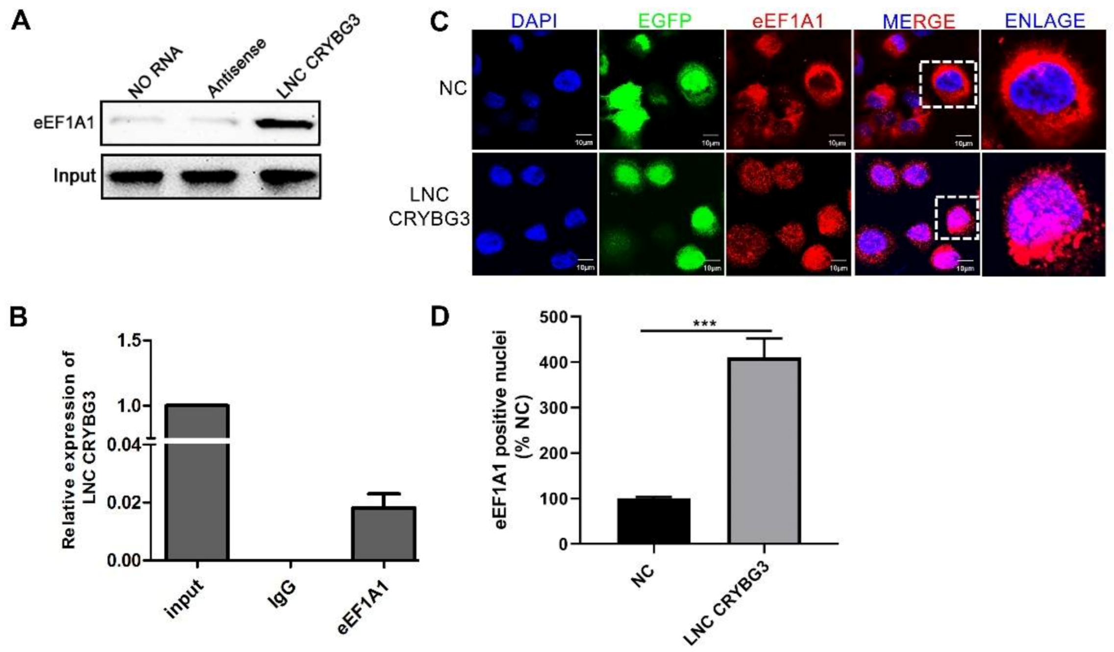 Ijms 22 03211 g004 Ijms 22 03211 g004