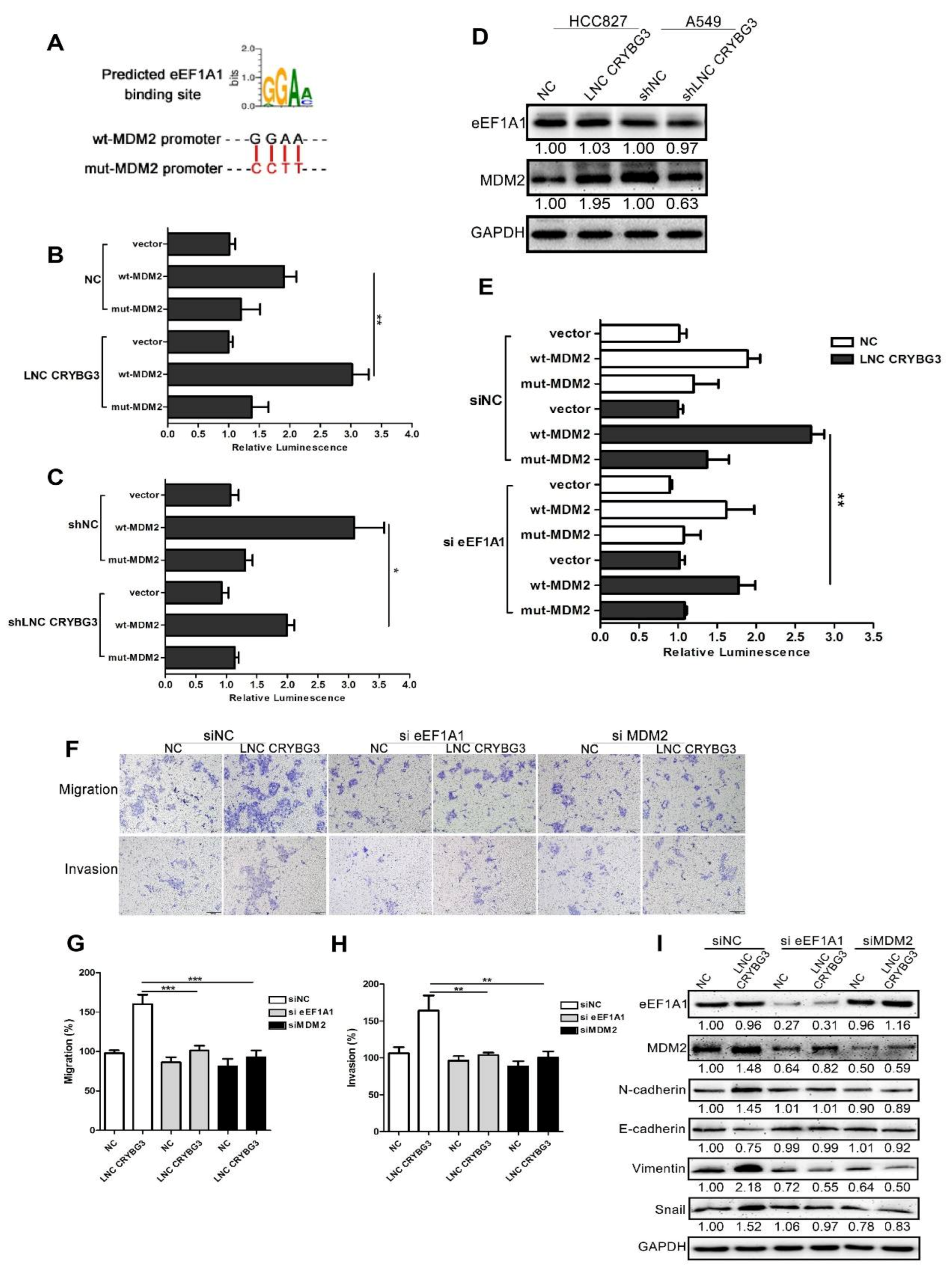 Ijms 22 03211 g005 Ijms 22 03211 g005
