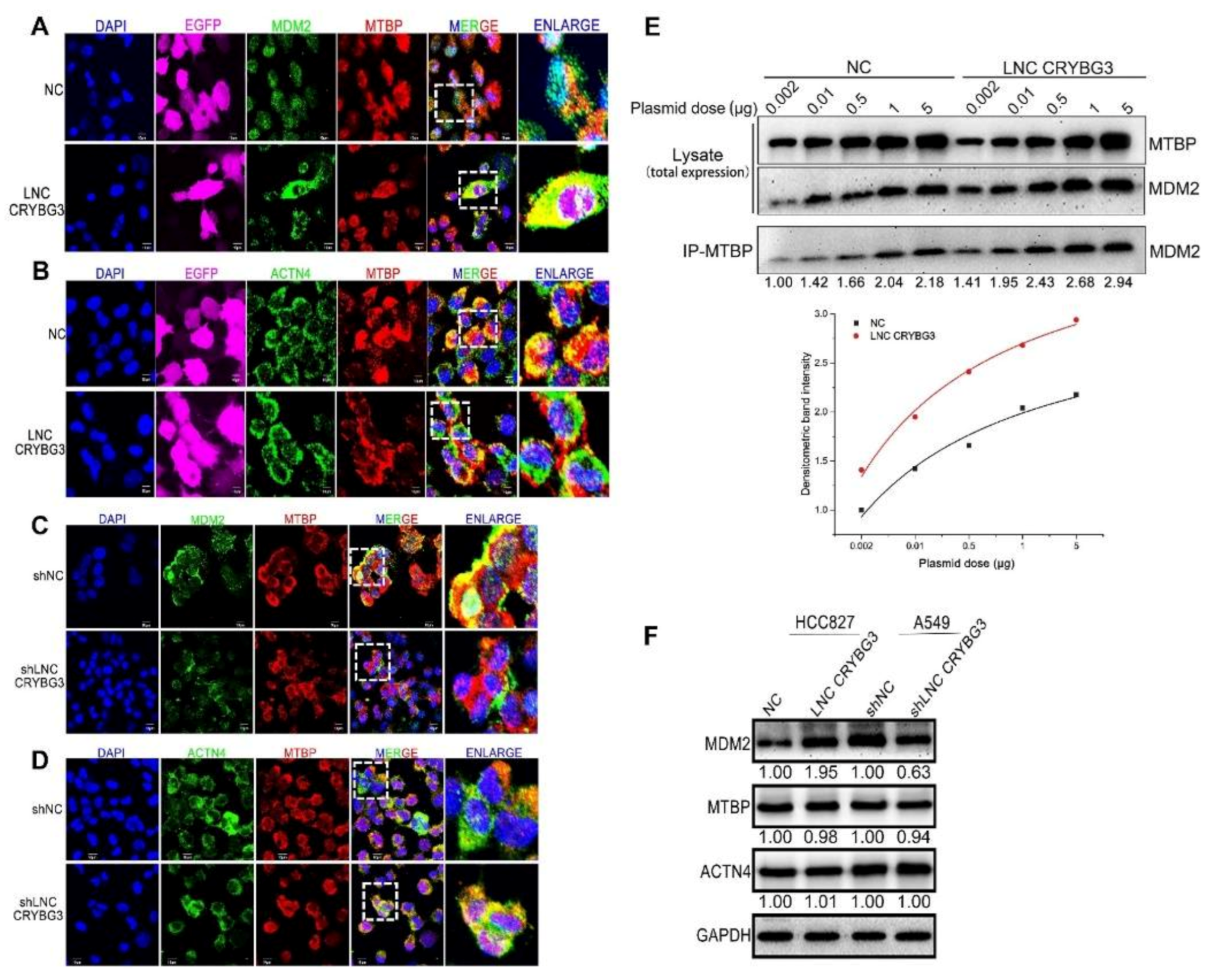 Ijms 22 03211 g006 Ijms 22 03211 g006