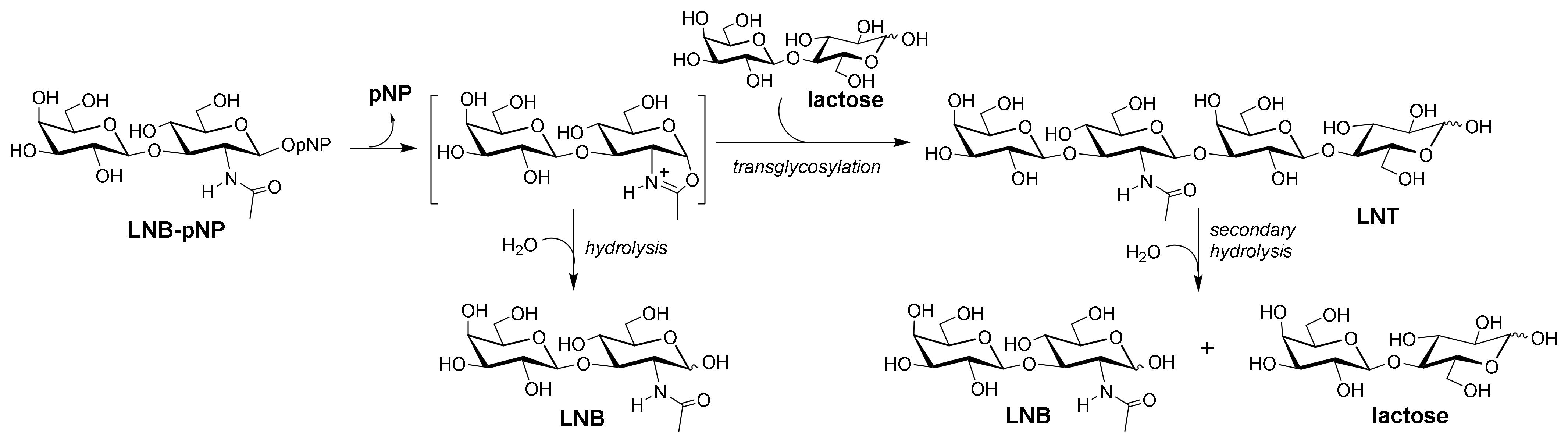 Ijms 22 03230 g001 Ijms 22 03230 g001