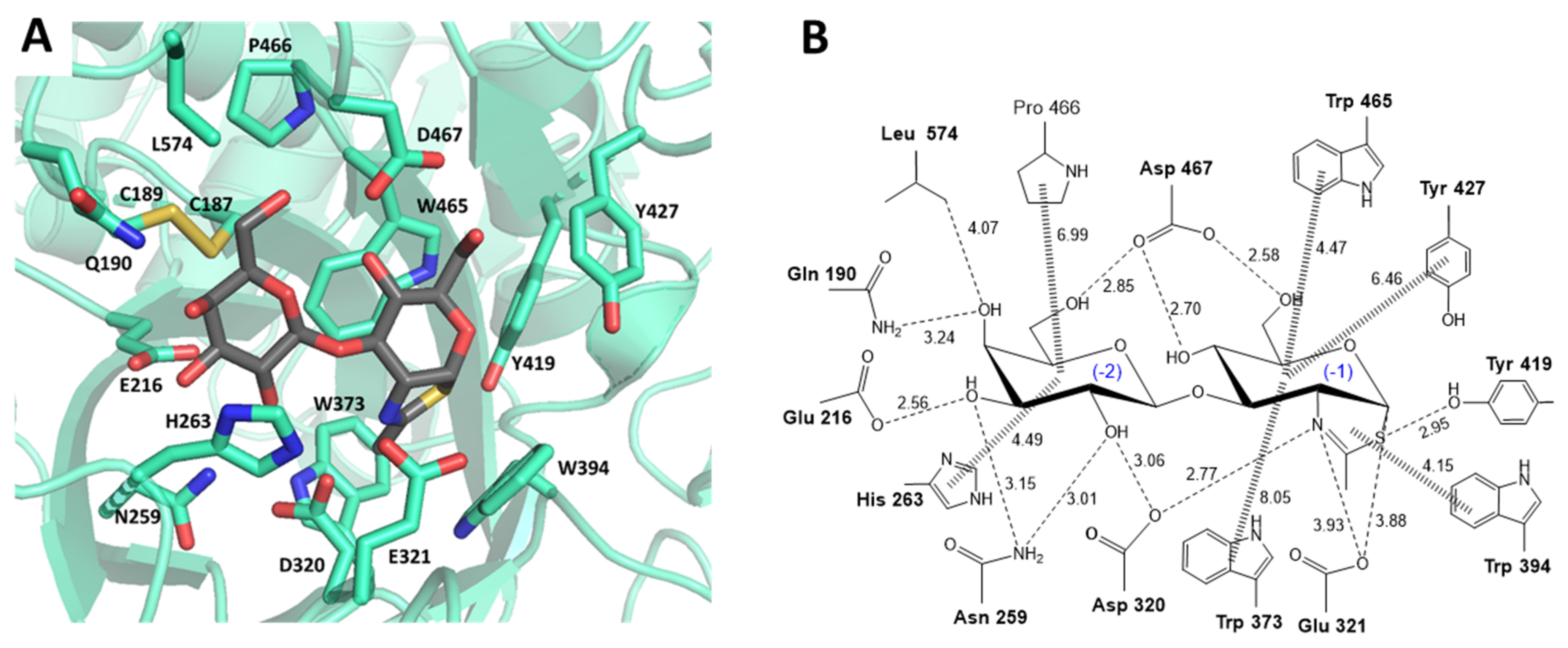 Ijms 22 03230 g002 Ijms 22 03230 g002