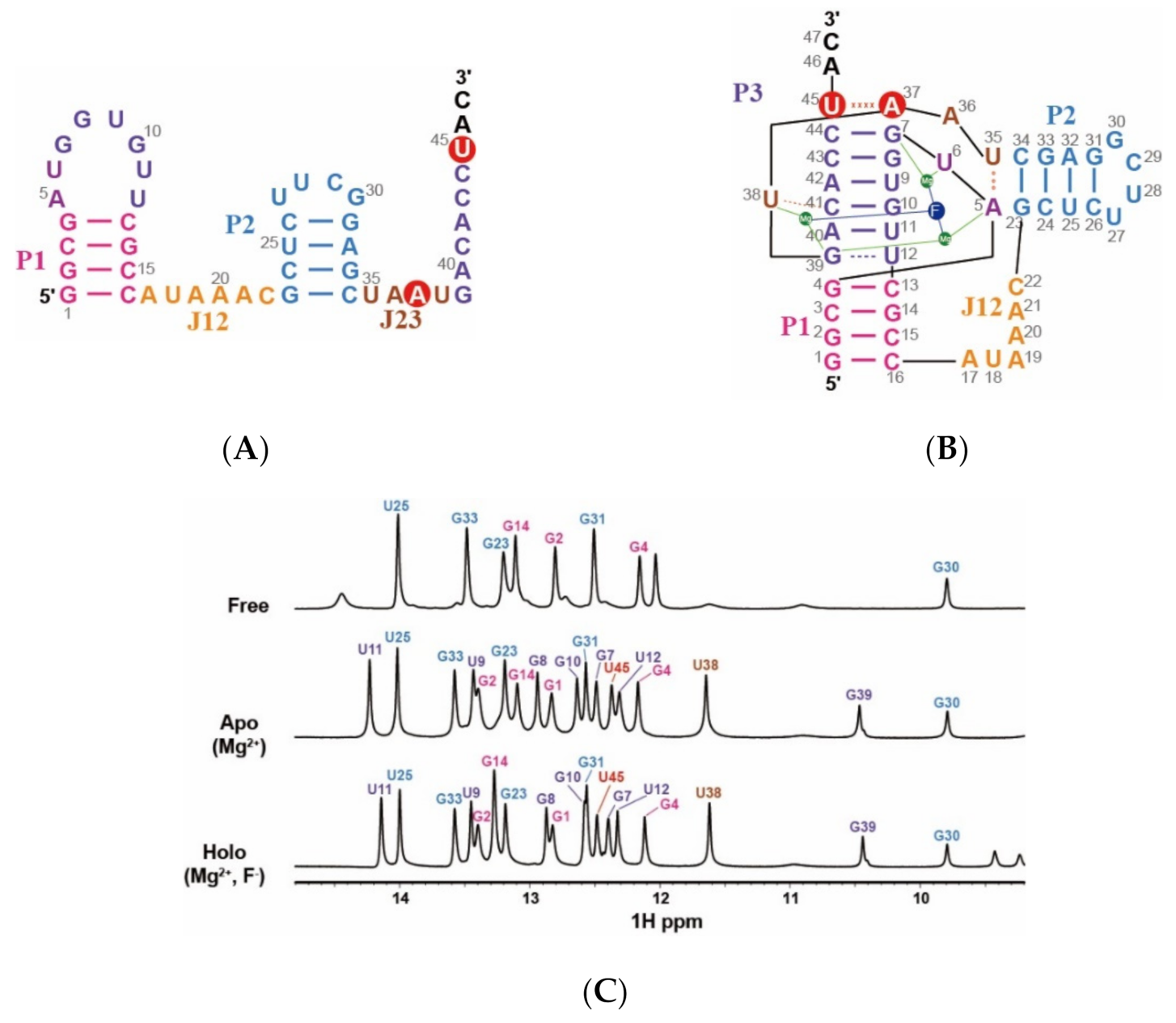 Ijms 22 03234 g001 Ijms 22 03234 g001