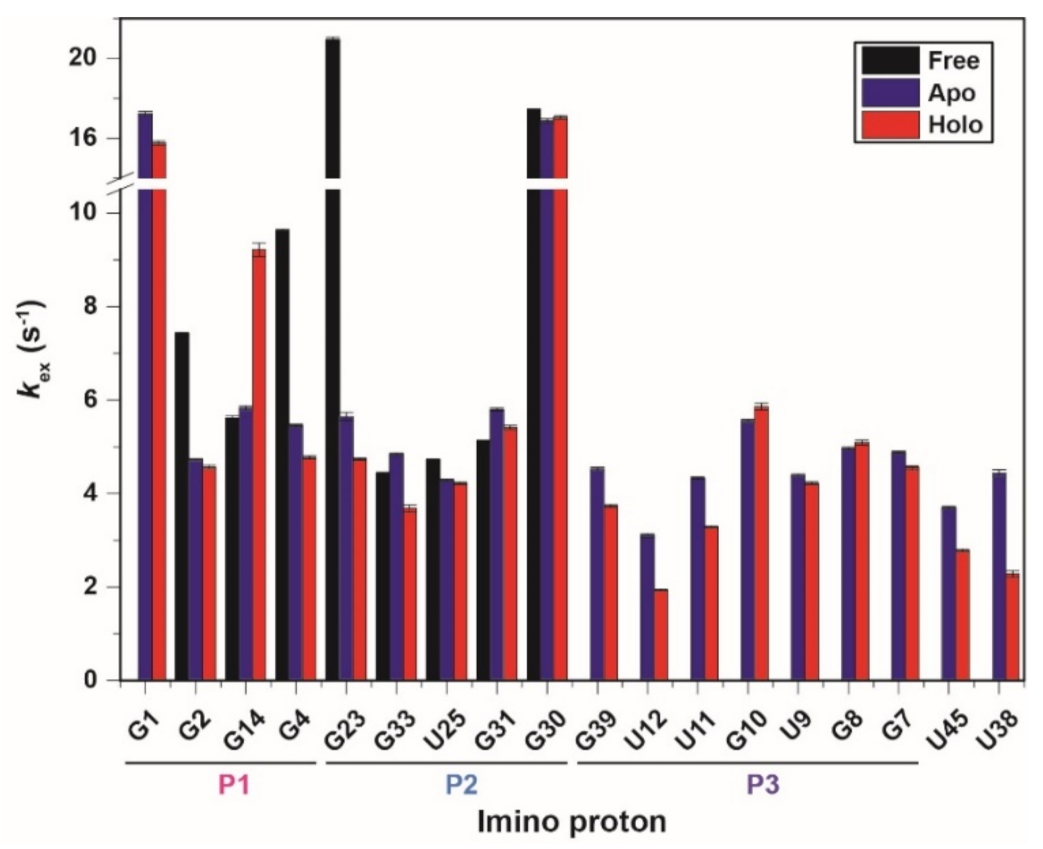 Ijms 22 03234 g003 Ijms 22 03234 g003