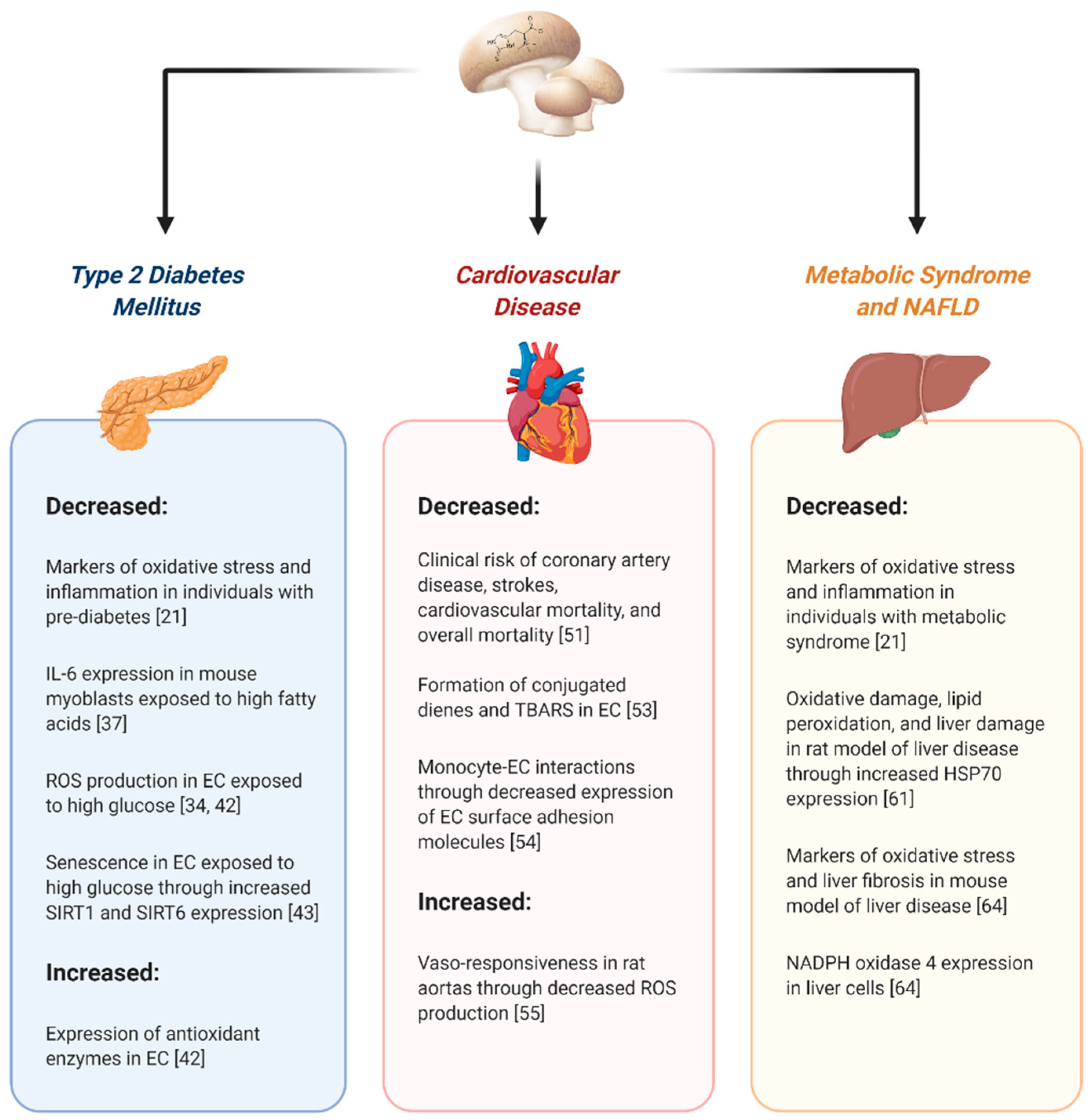 Ijms 22 03246 g001 Ijms 22 03246 g001