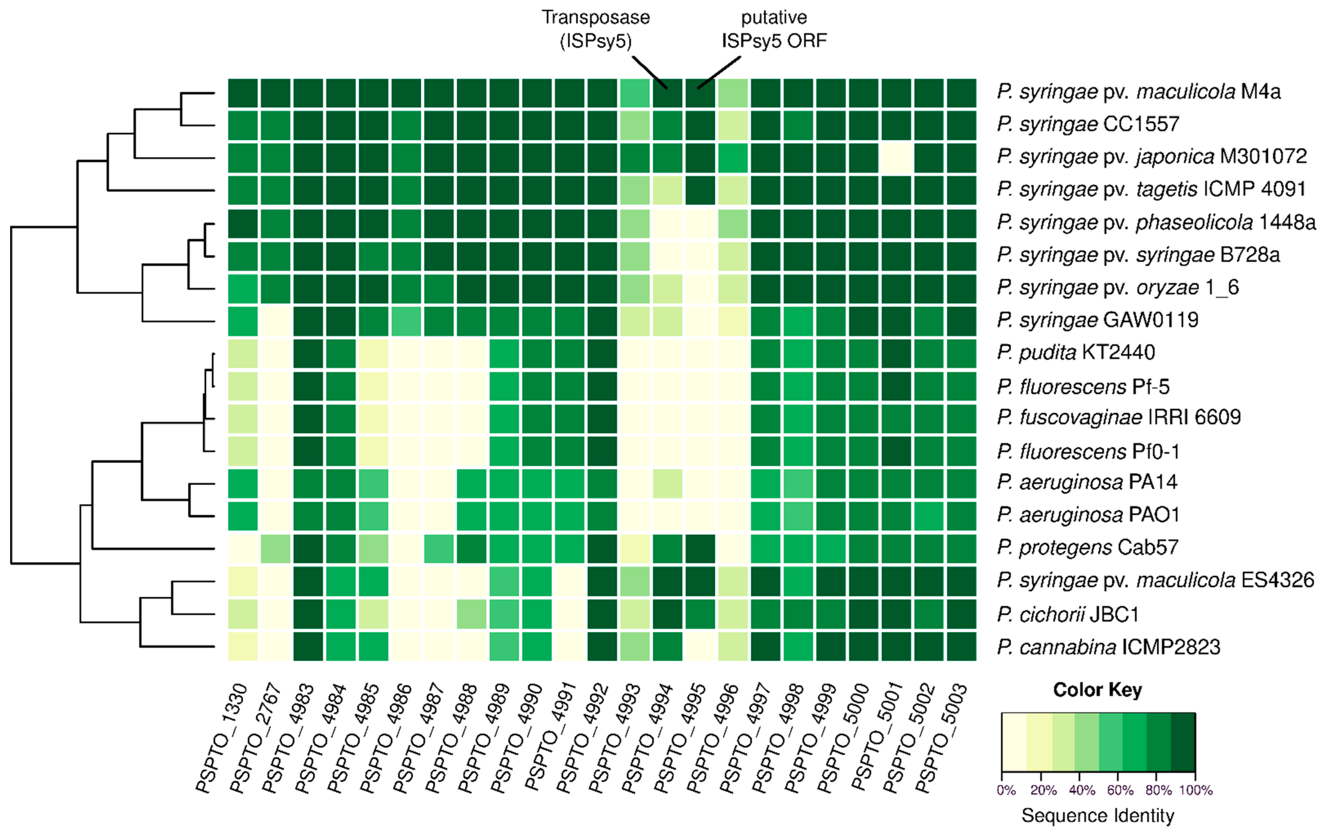 Ijms 22 03250 g001 Ijms 22 03250 g001