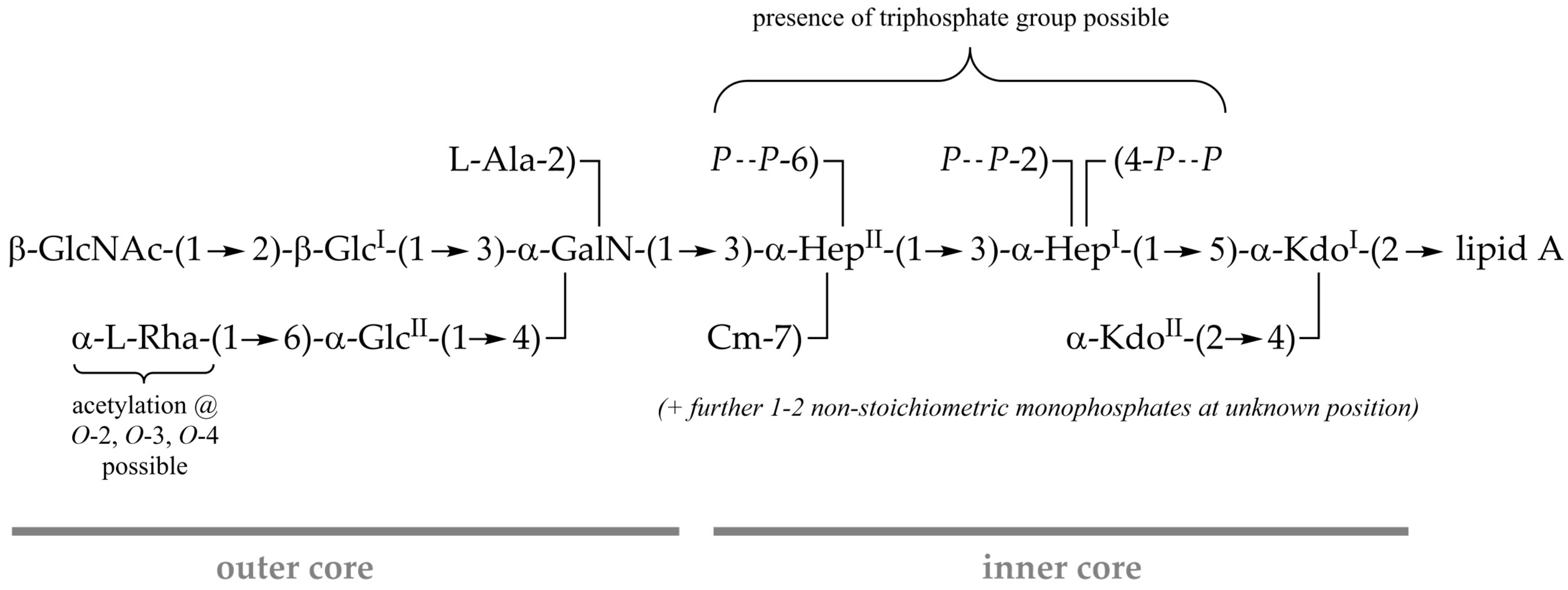 Ijms 22 03250 g007 Ijms 22 03250 g007