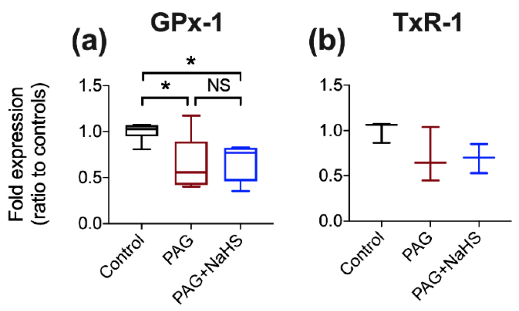 Ijms 22 03258 g0a4 Ijms 22 03258 g0a4