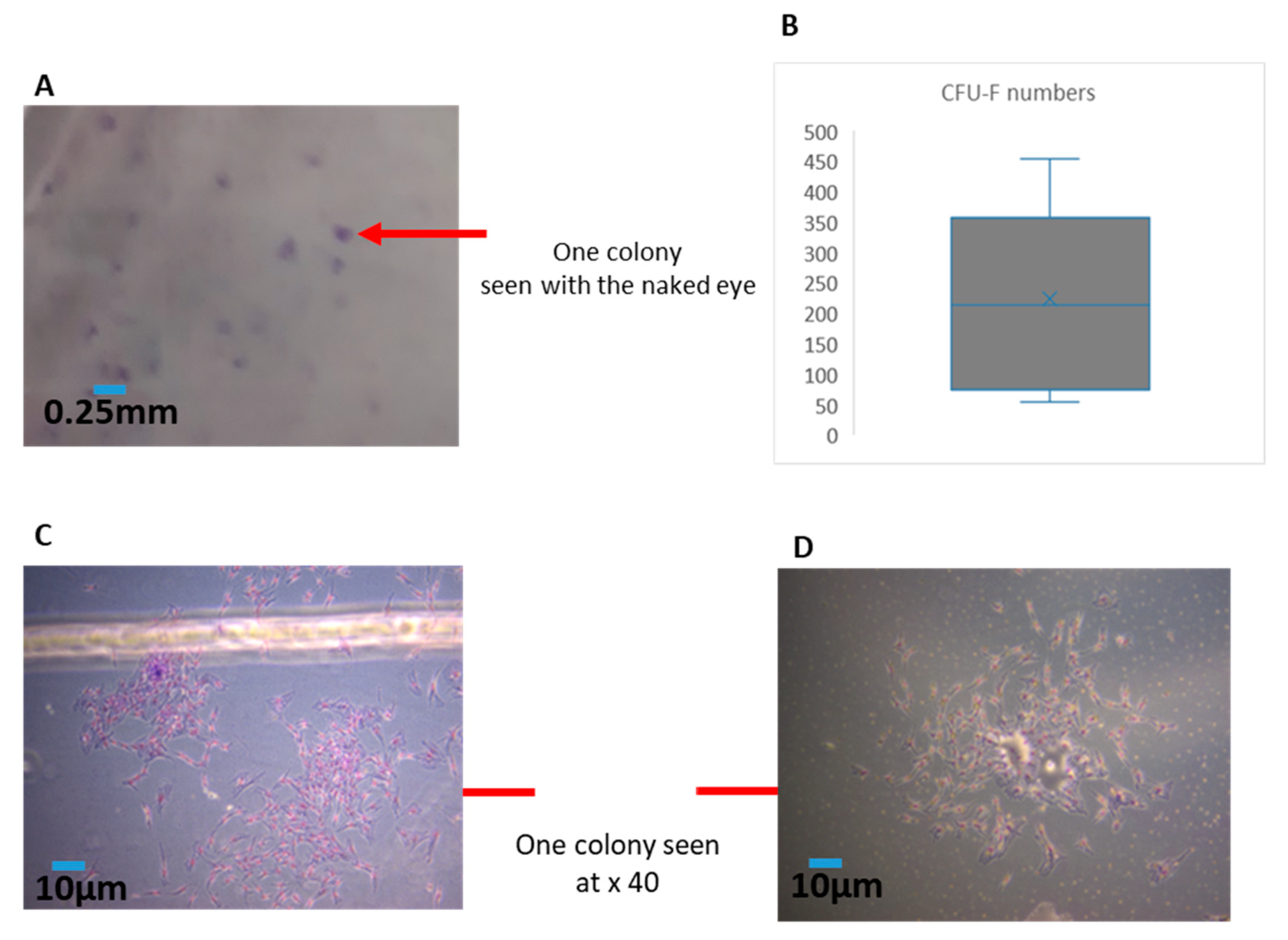 Ijms 22 03271 g002 Ijms 22 03271 g002