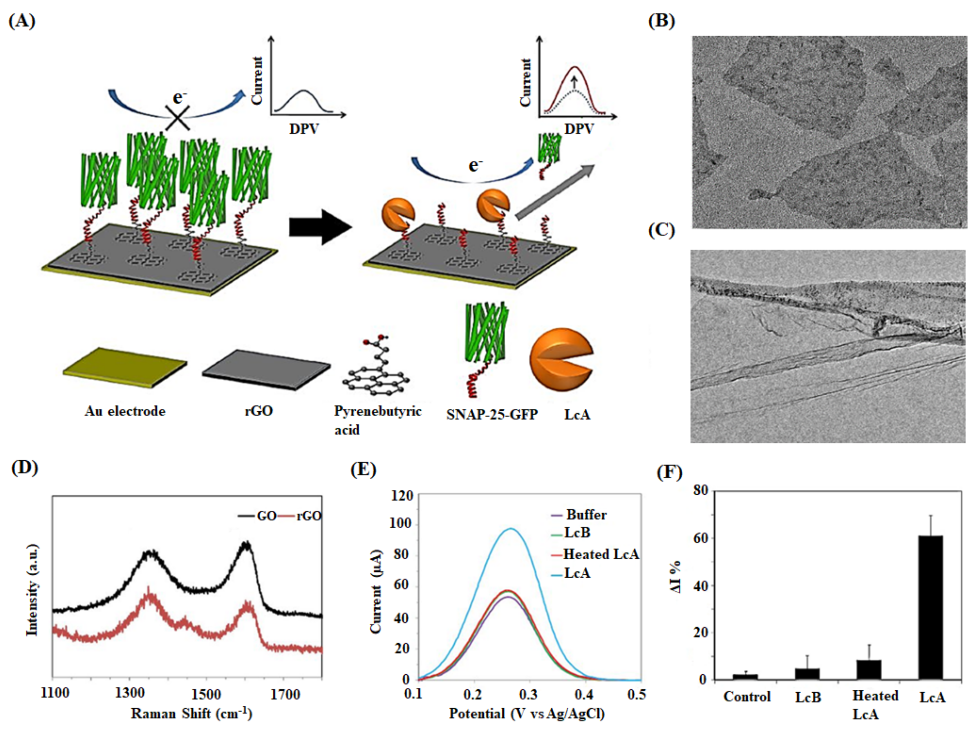 Ijms 22 03277 g006 Ijms 22 03277 g006