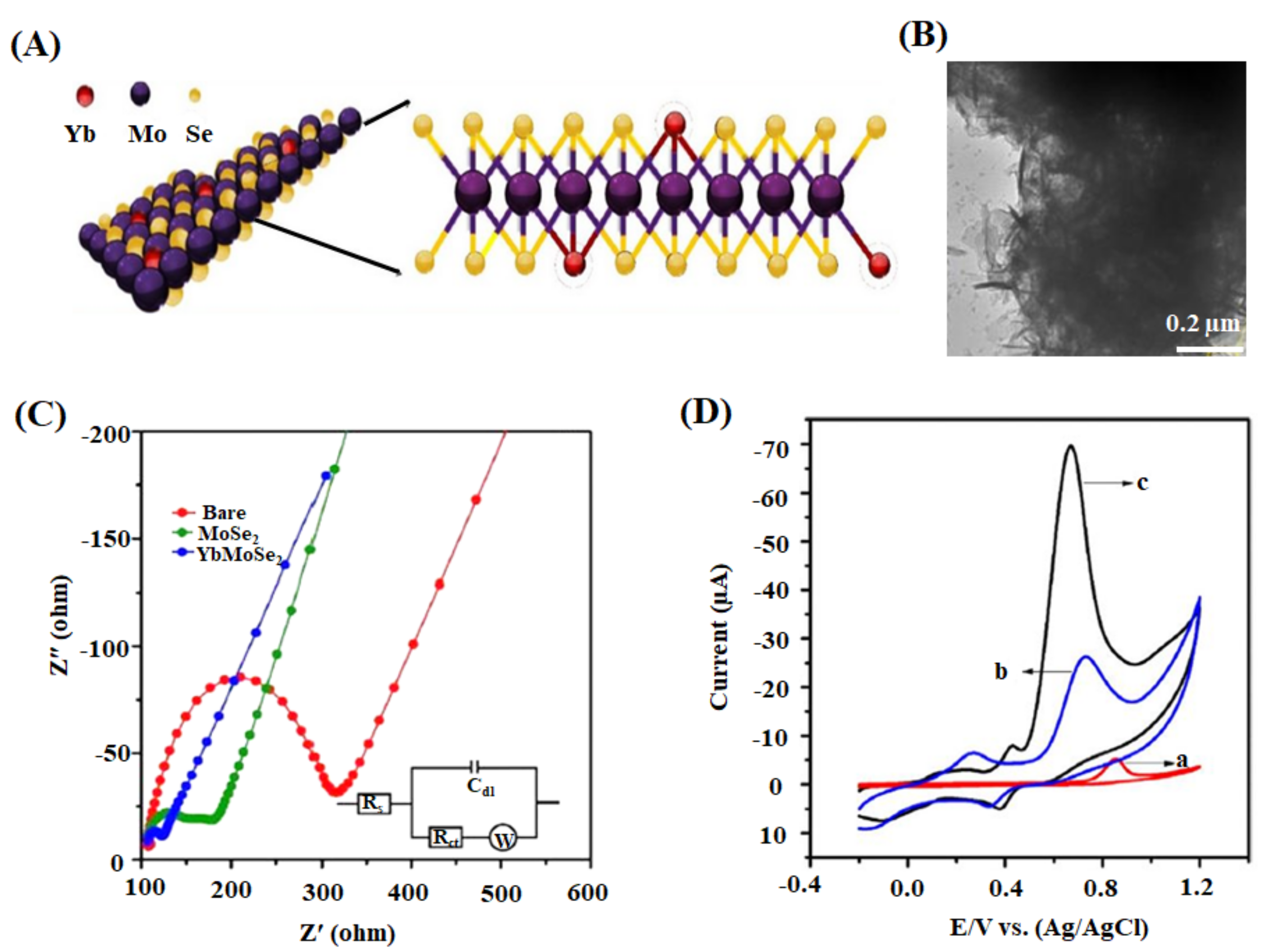 Ijms 22 03277 g007 Ijms 22 03277 g007