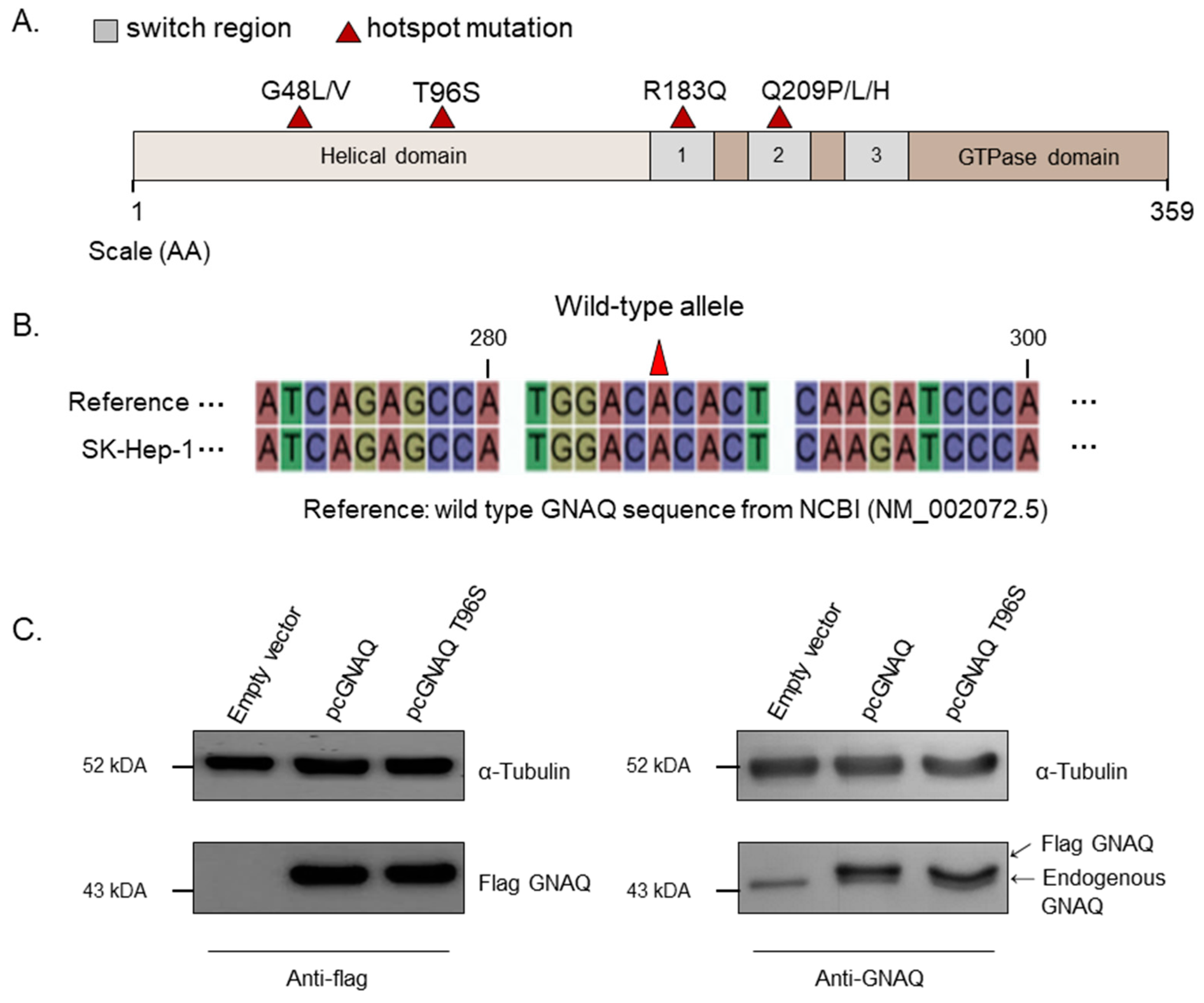 Ijms 22 03284 g001 Ijms 22 03284 g001