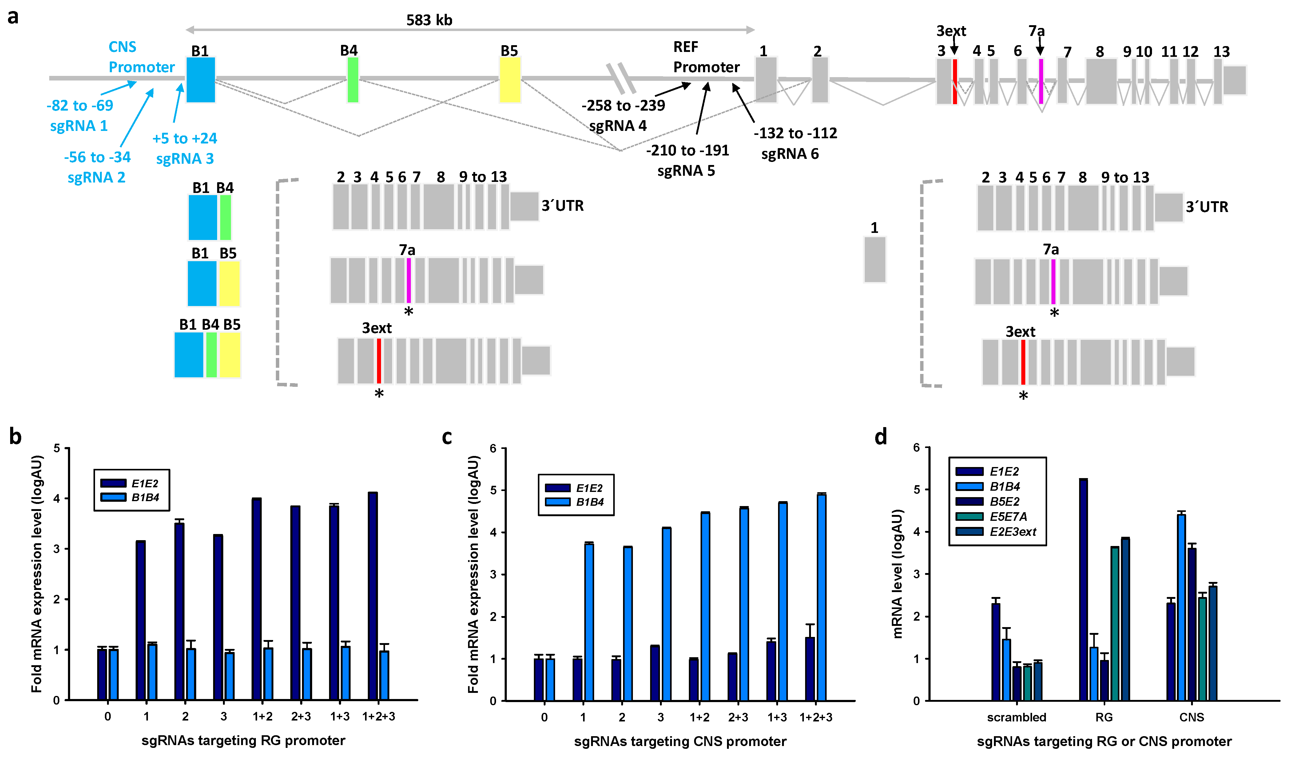 Ijms 22 03296 g001 Ijms 22 03296 g001