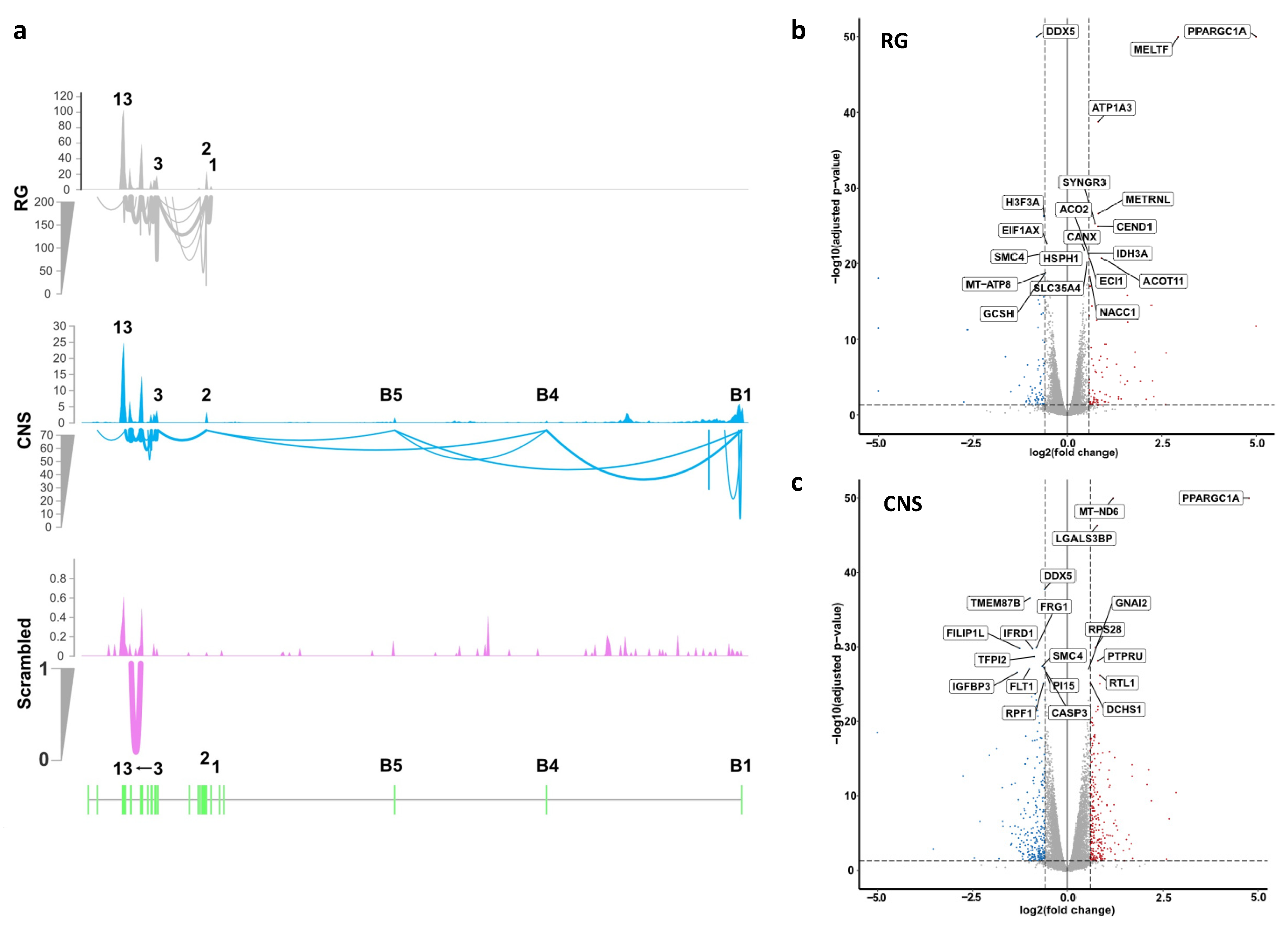 Ijms 22 03296 g003 Ijms 22 03296 g003