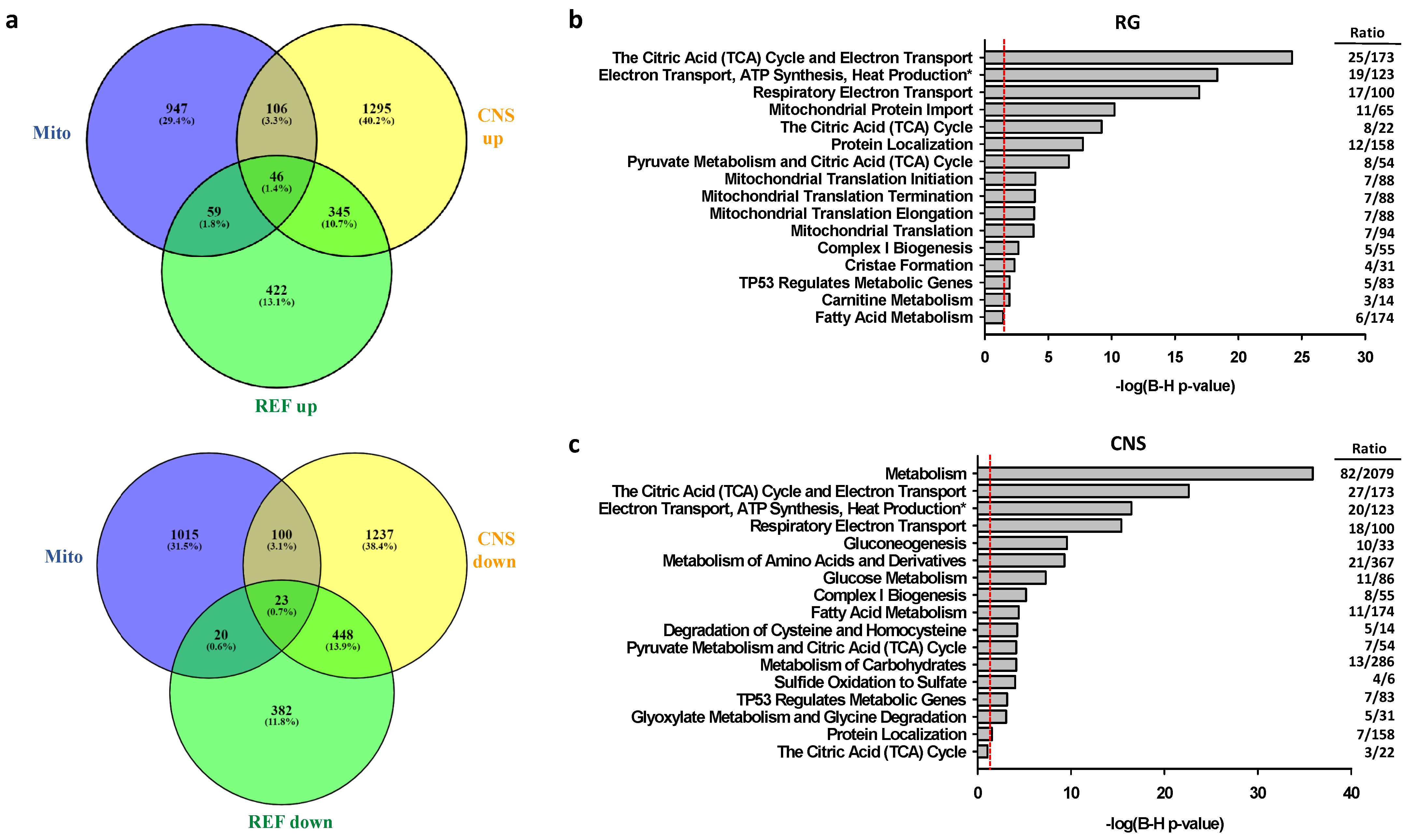 Ijms 22 03296 g005 Ijms 22 03296 g005