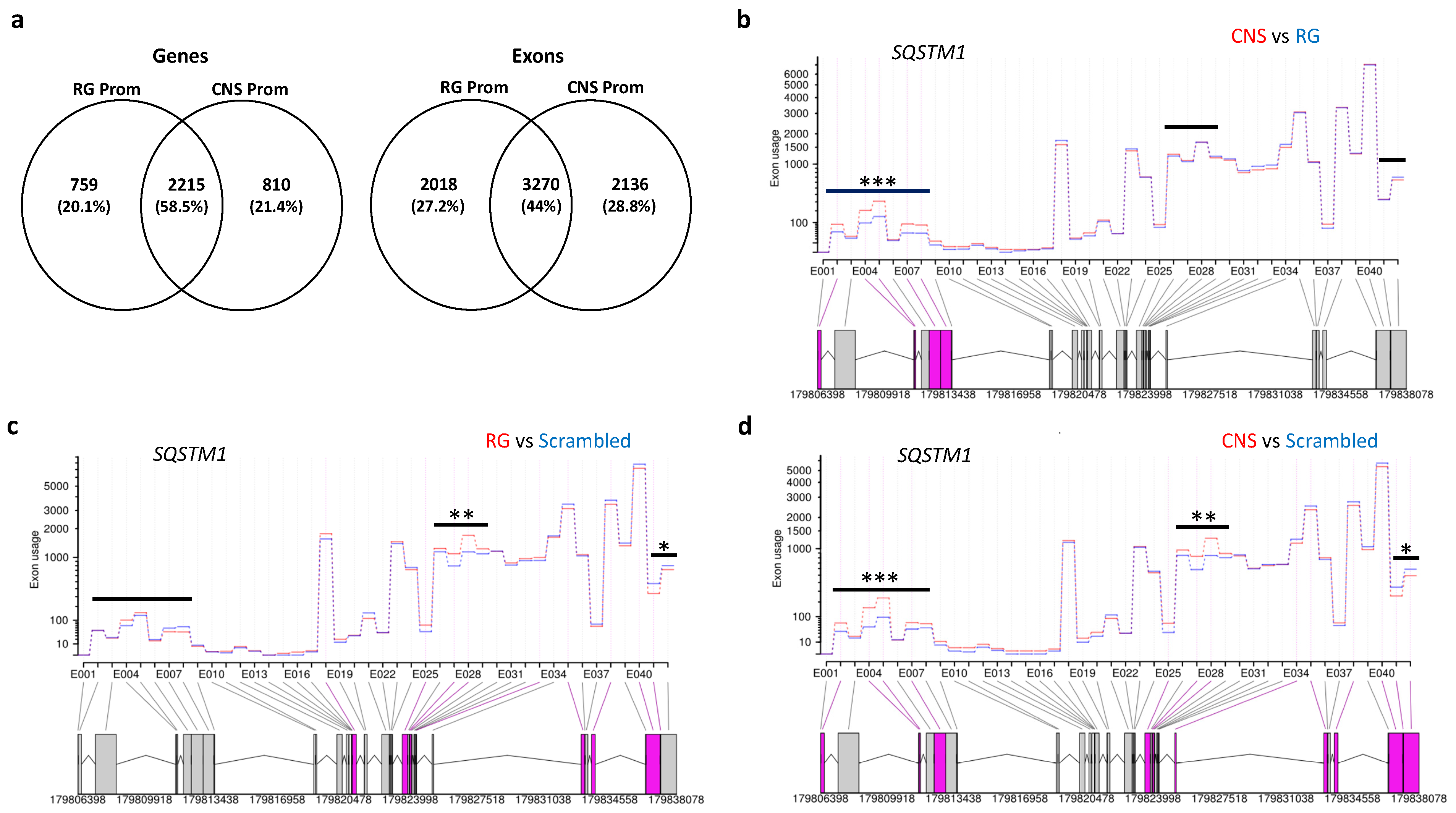 Ijms 22 03296 g007 Ijms 22 03296 g007