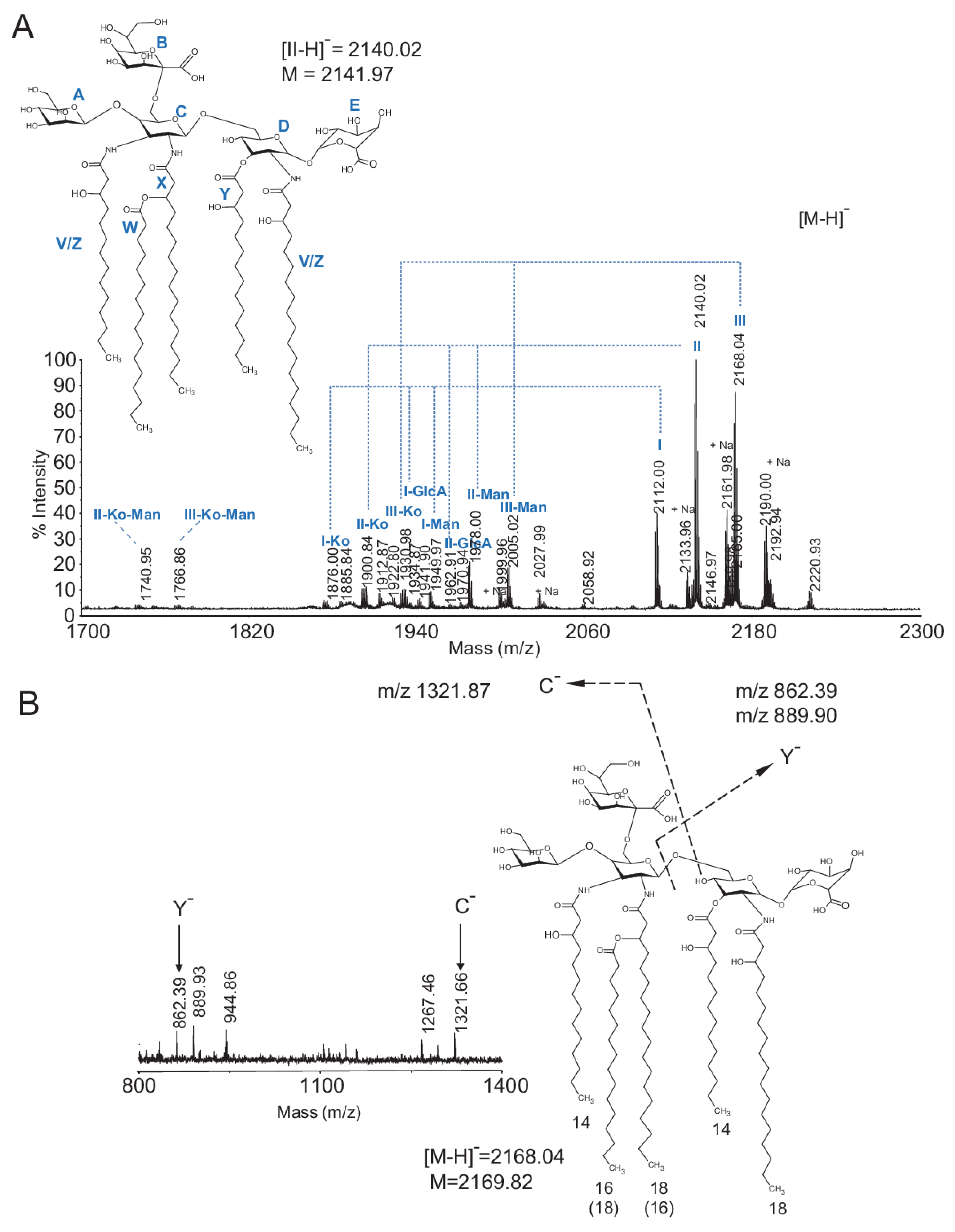 Ijms 22 03303 g005 Ijms 22 03303 g005