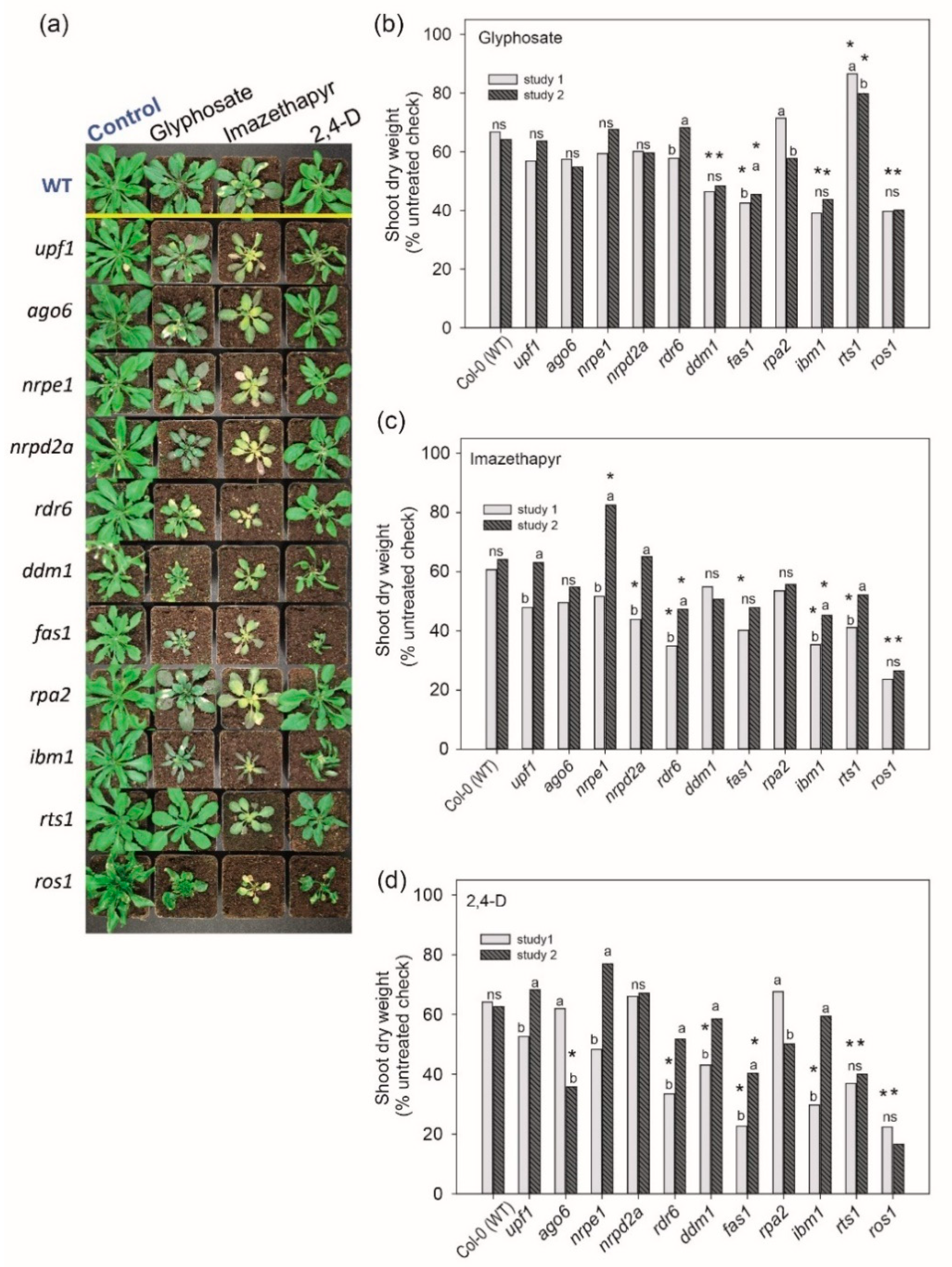 Ijms 22 03314 g002 Ijms 22 03314 g002