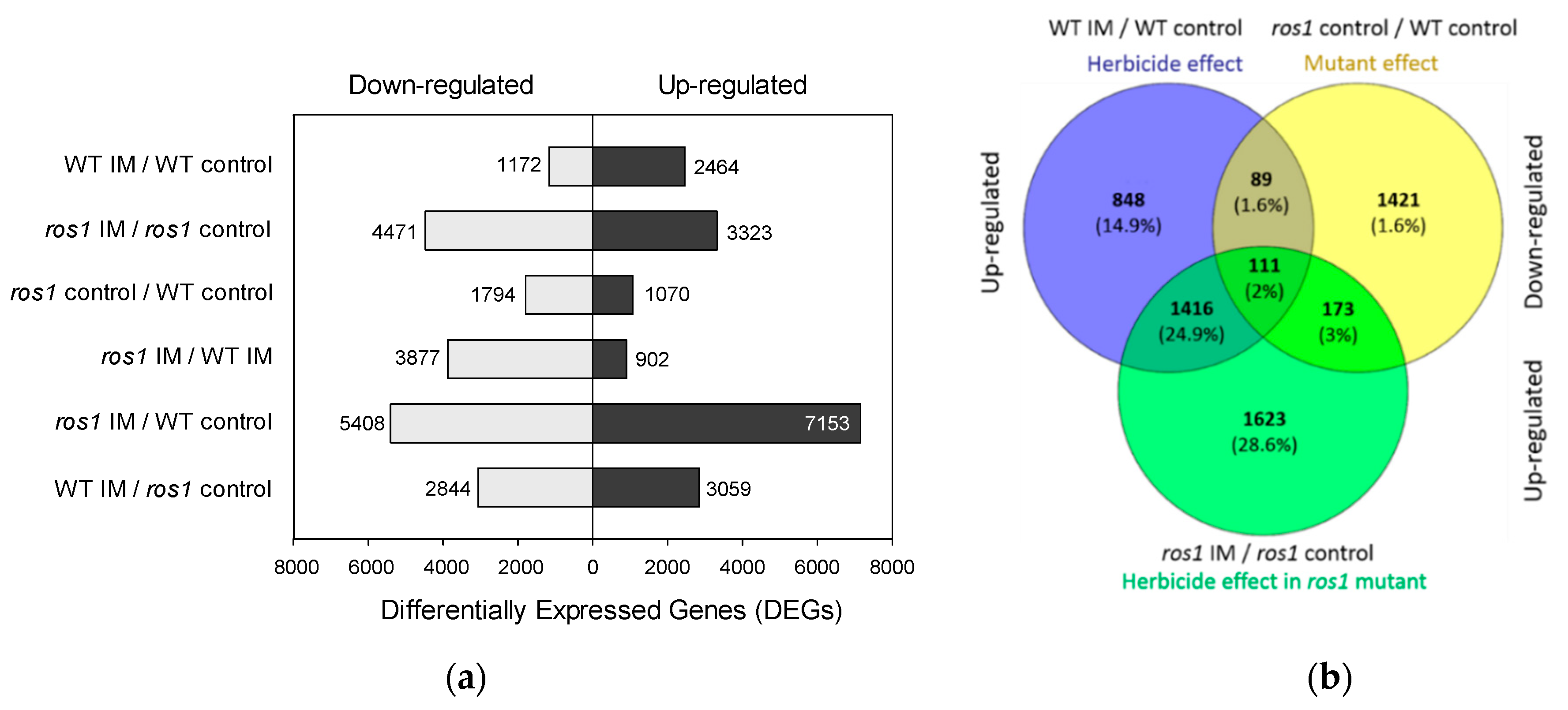 Ijms 22 03314 g005 Ijms 22 03314 g005