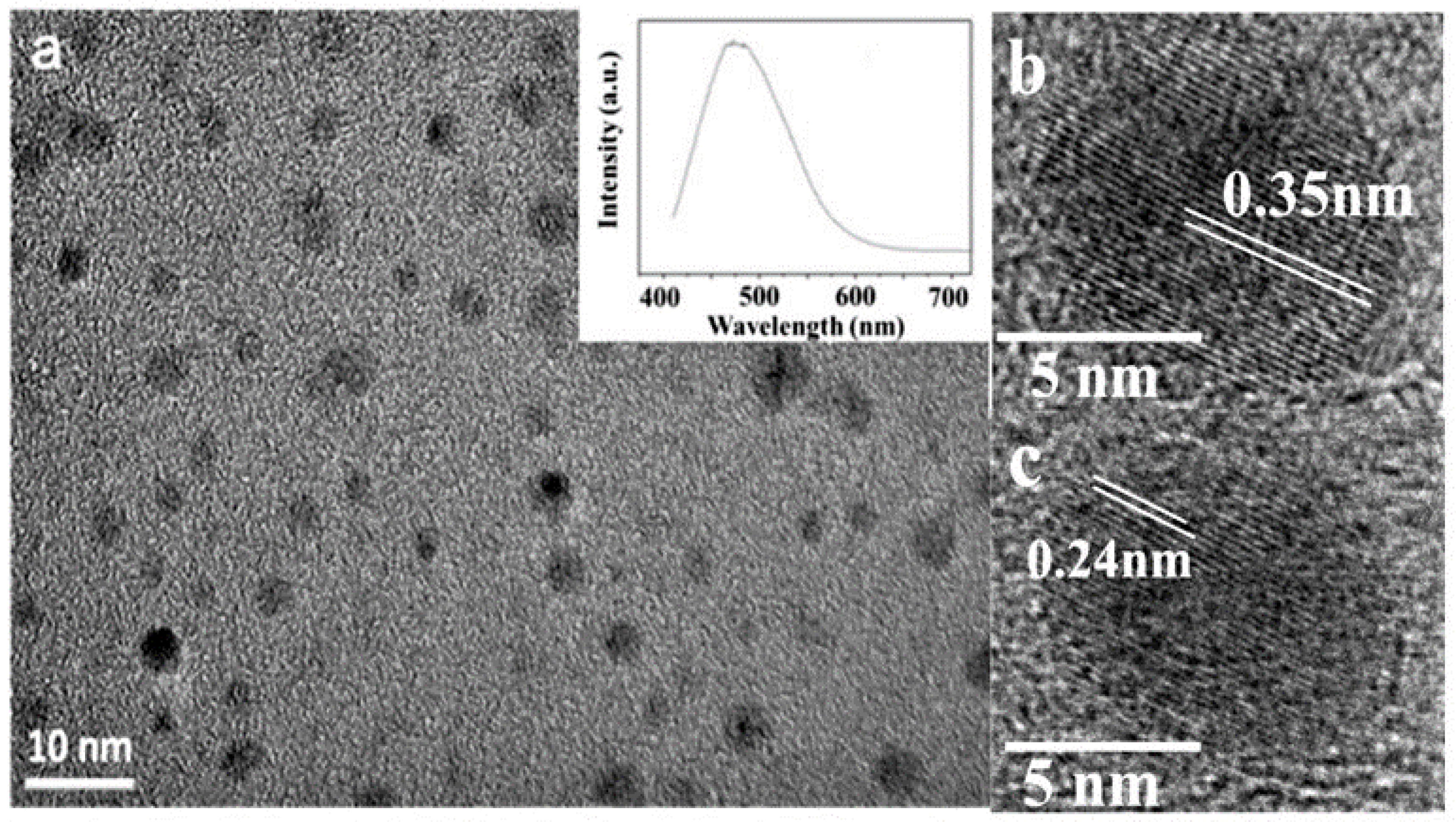 Ijms 22 03316 g001 Ijms 22 03316 g001