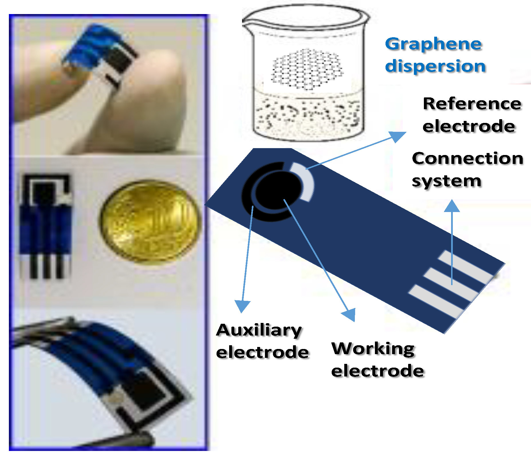 Ijms 22 03316 g003 Ijms 22 03316 g003